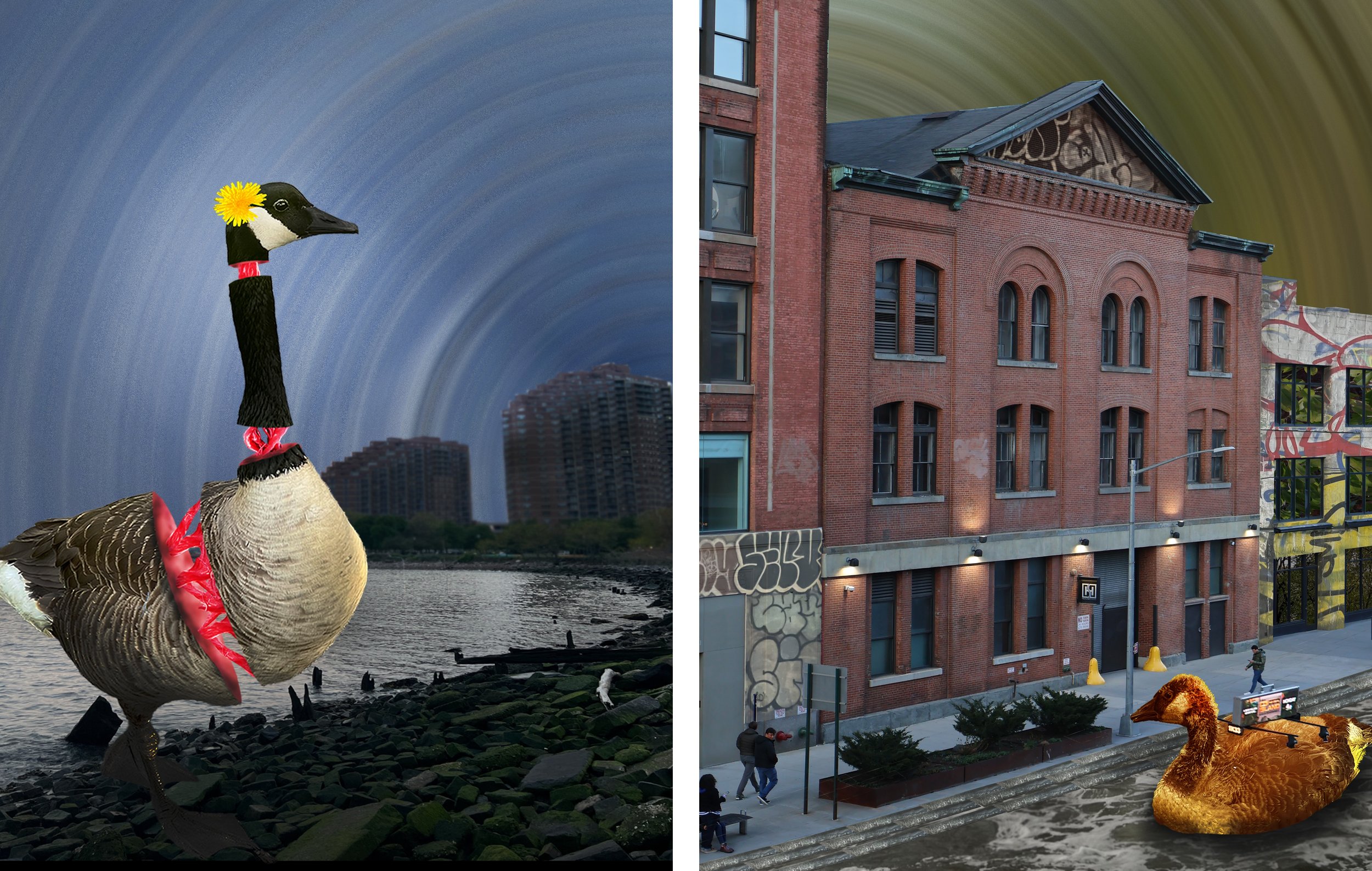 A digitally manipulated image showing two giant animals in a city setting. On the left, a goose with a flower on its head and decorative accessories on its neck and body stands near a river with high-rise buildings in the background. On the right, a 