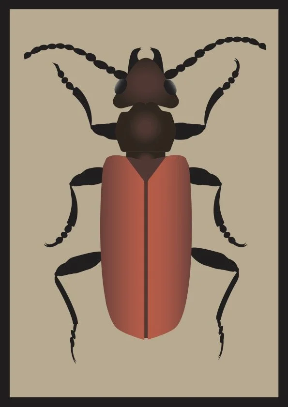 Beetle #001 (2024) - Digital Illustration