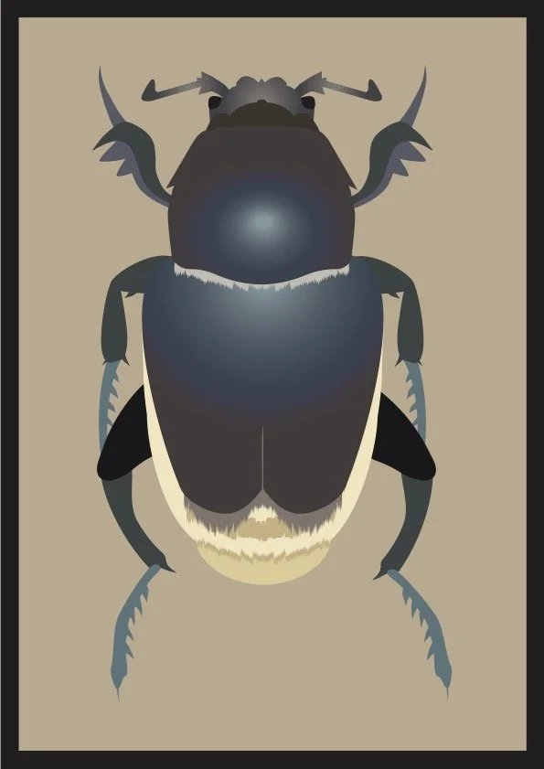 Beetle #004 (2024) - Digital Illustration