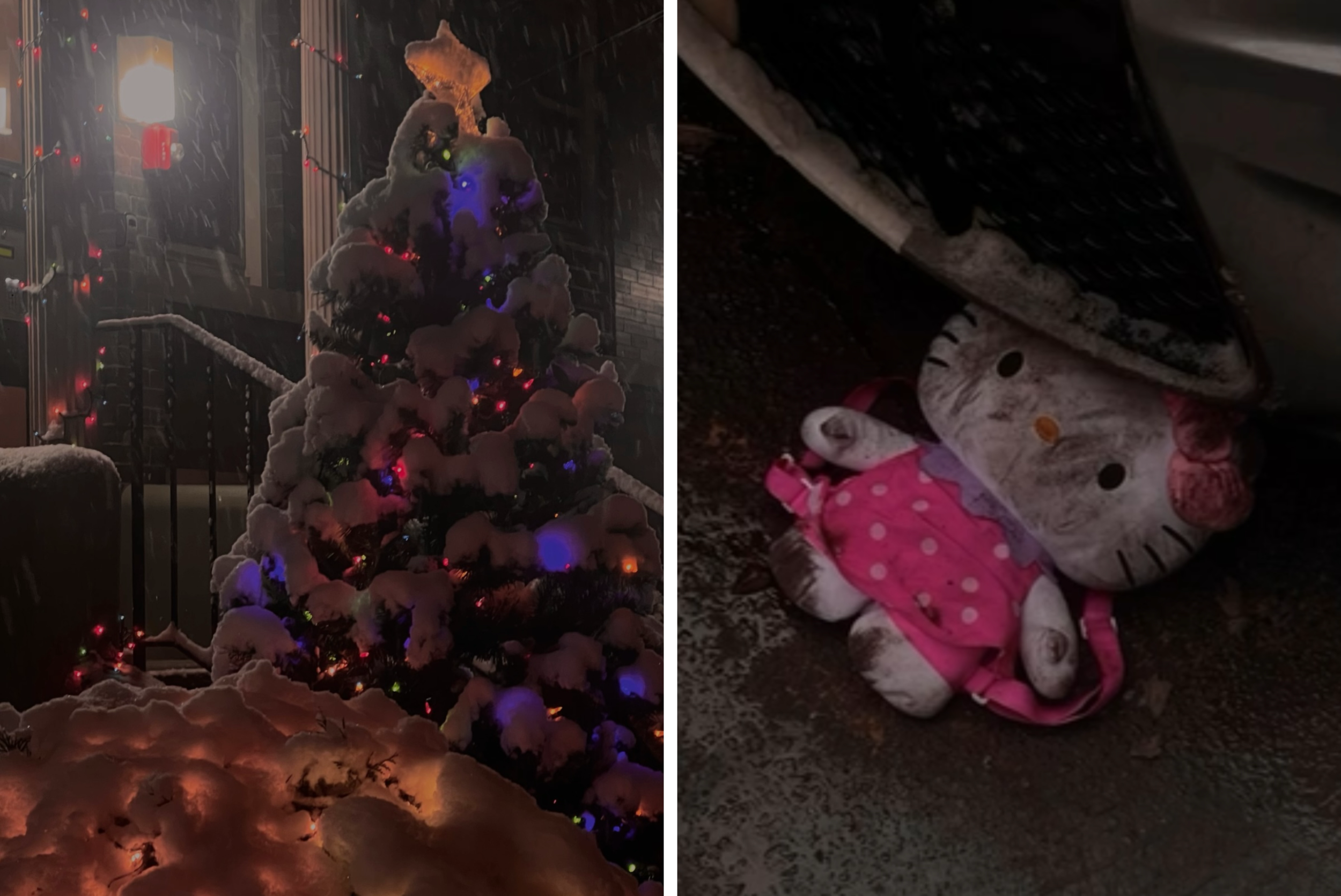 Seasonal Care (2025)