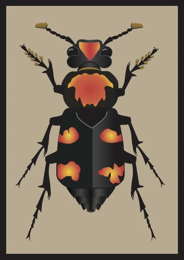 Beetle #003 (2024) - Digital Illustration