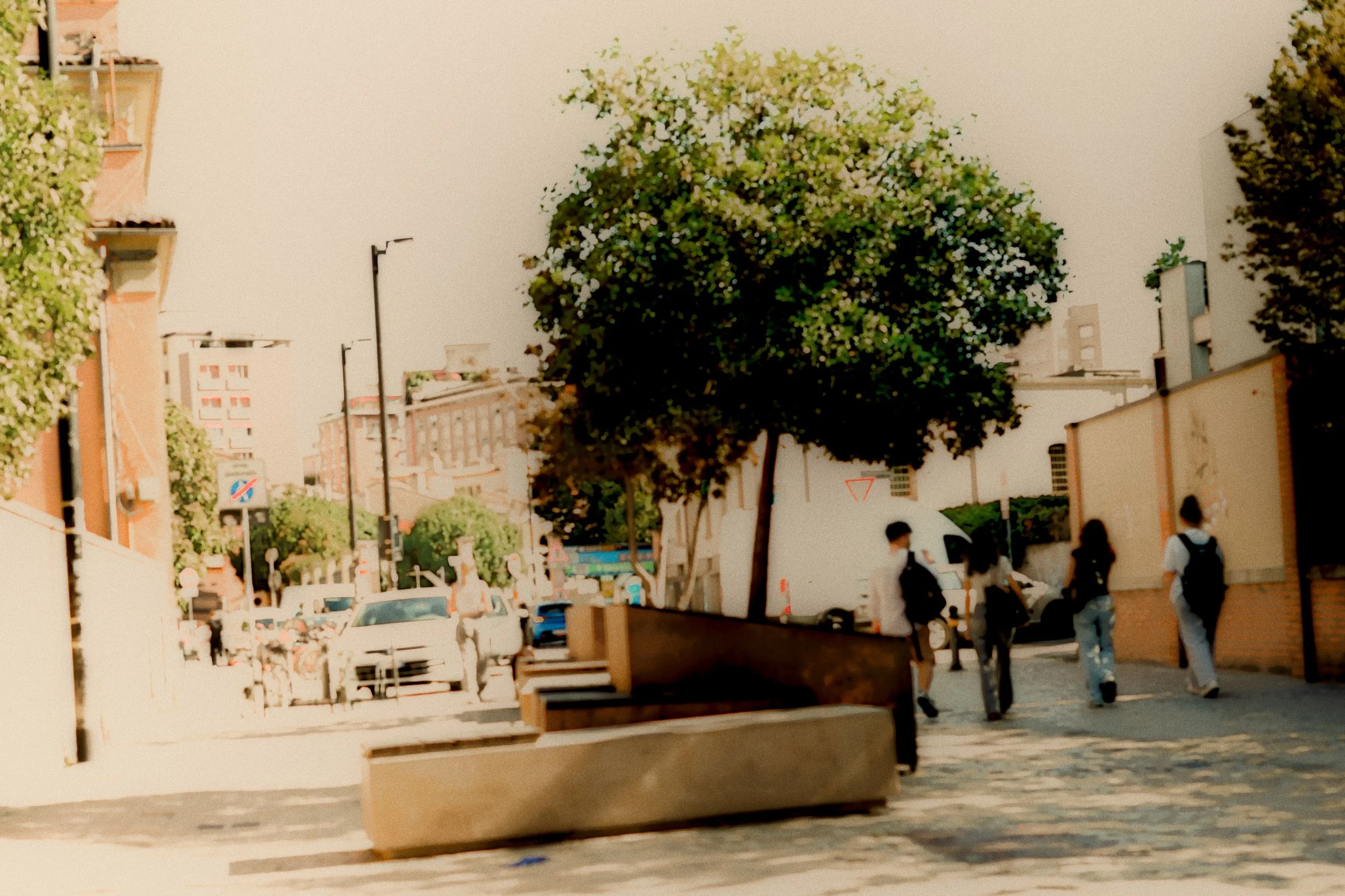 DSC00062.jpg