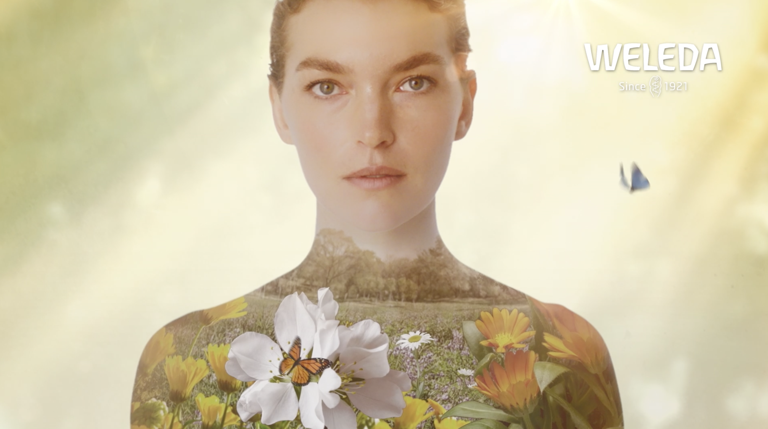 Weleda.png