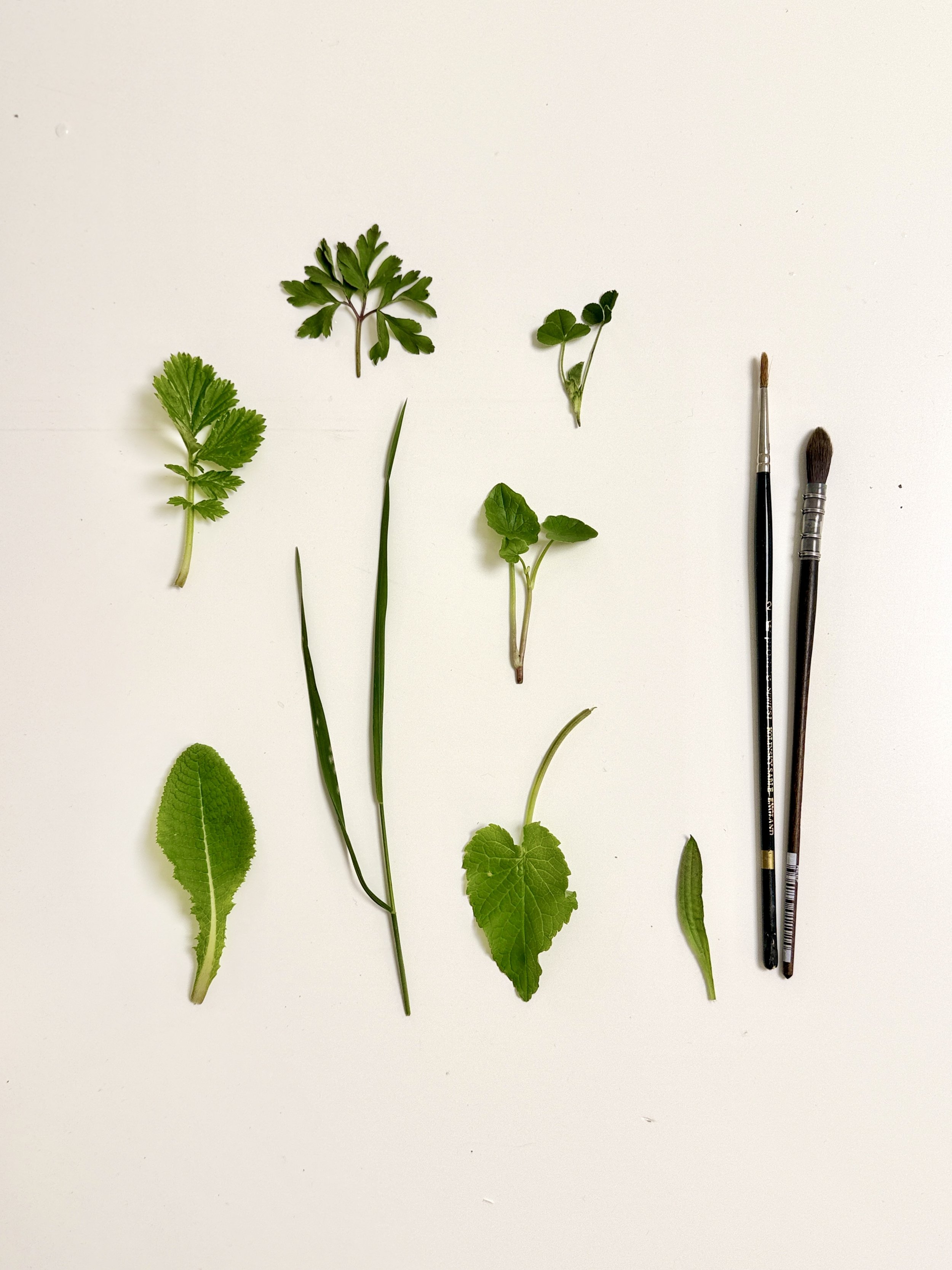 IMG_6493.jpg