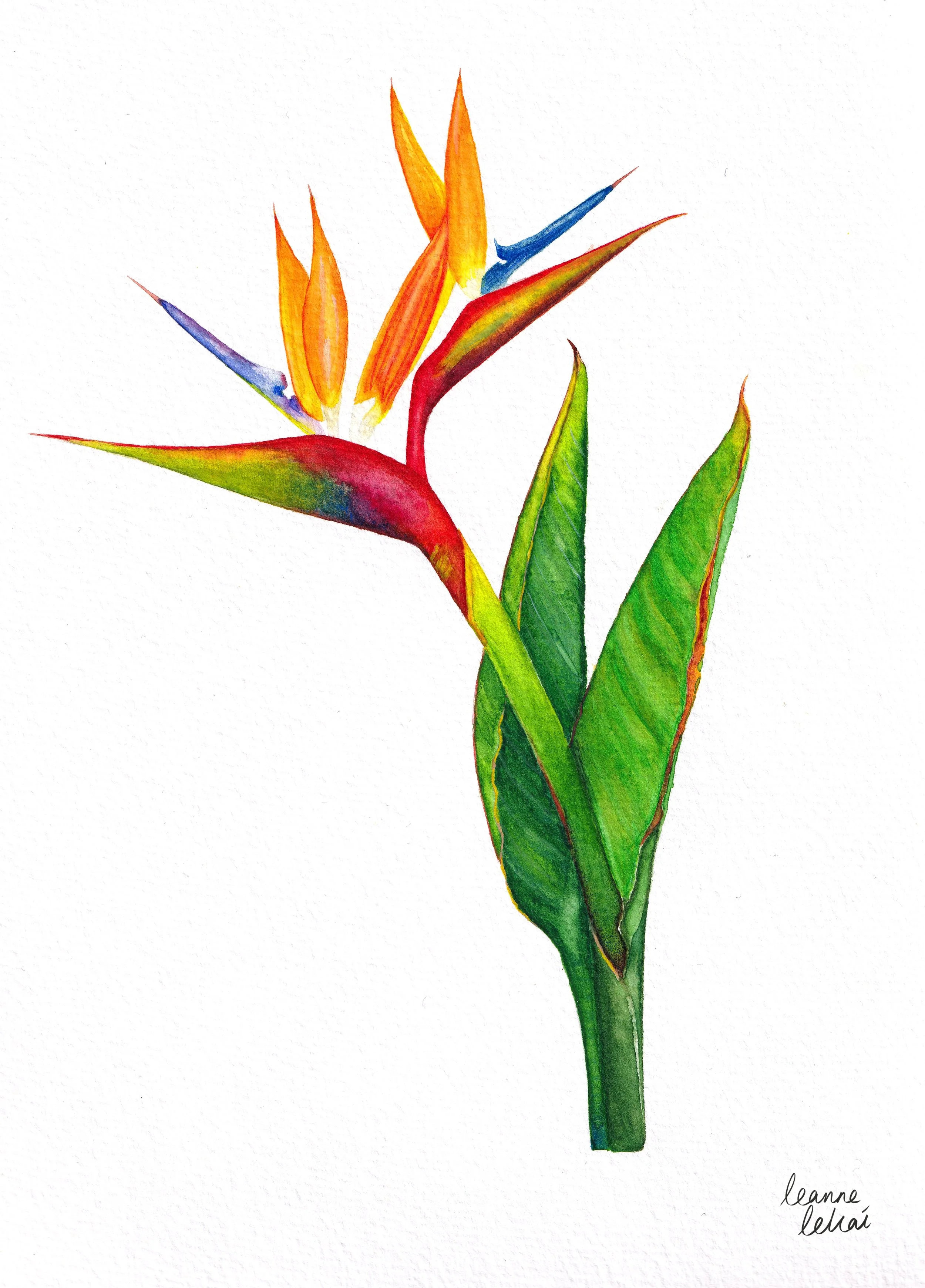 Untitled_Artwork 11.JPG