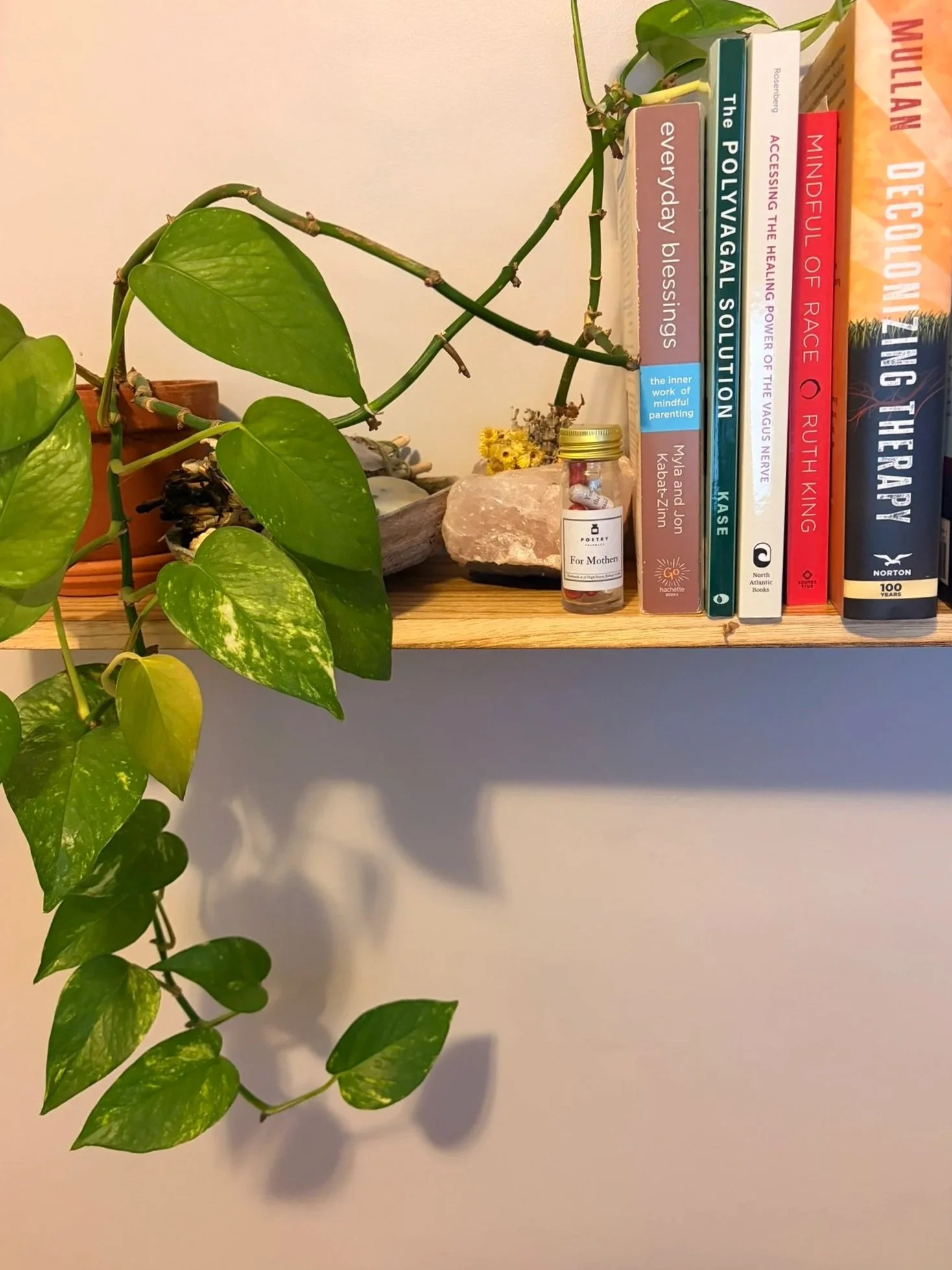 A wooden shelf with a green leafy vine plant hanging down, a small bottle labeled 'For Mothers', some rocks, and a row of books including titles about mindfulness, spiritual healing, and therapy.