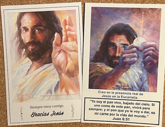 Euk  -2  Span. Holding Euc..jpg