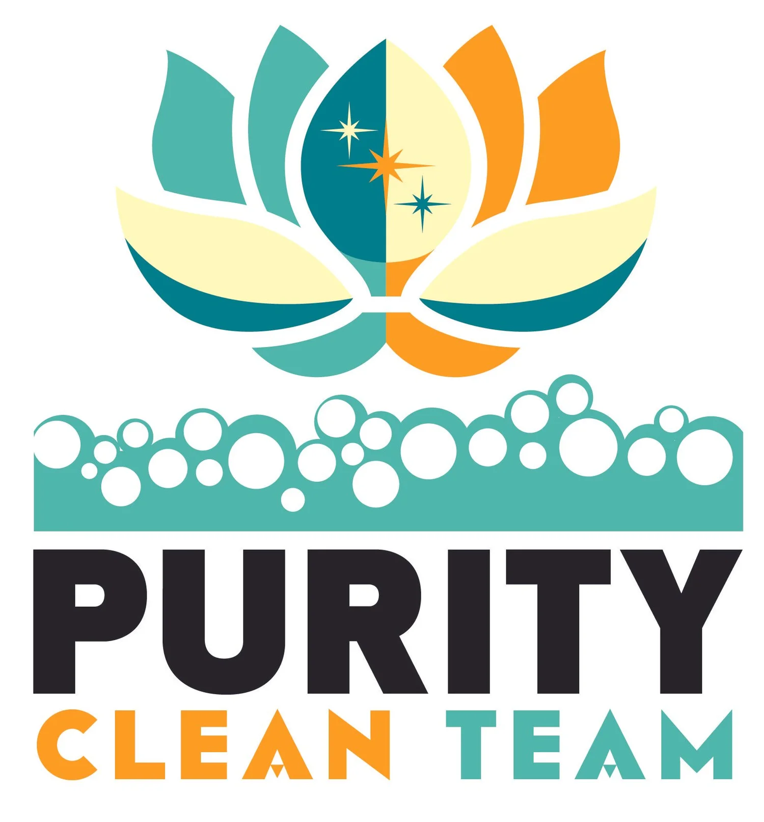 Purity Clean Team