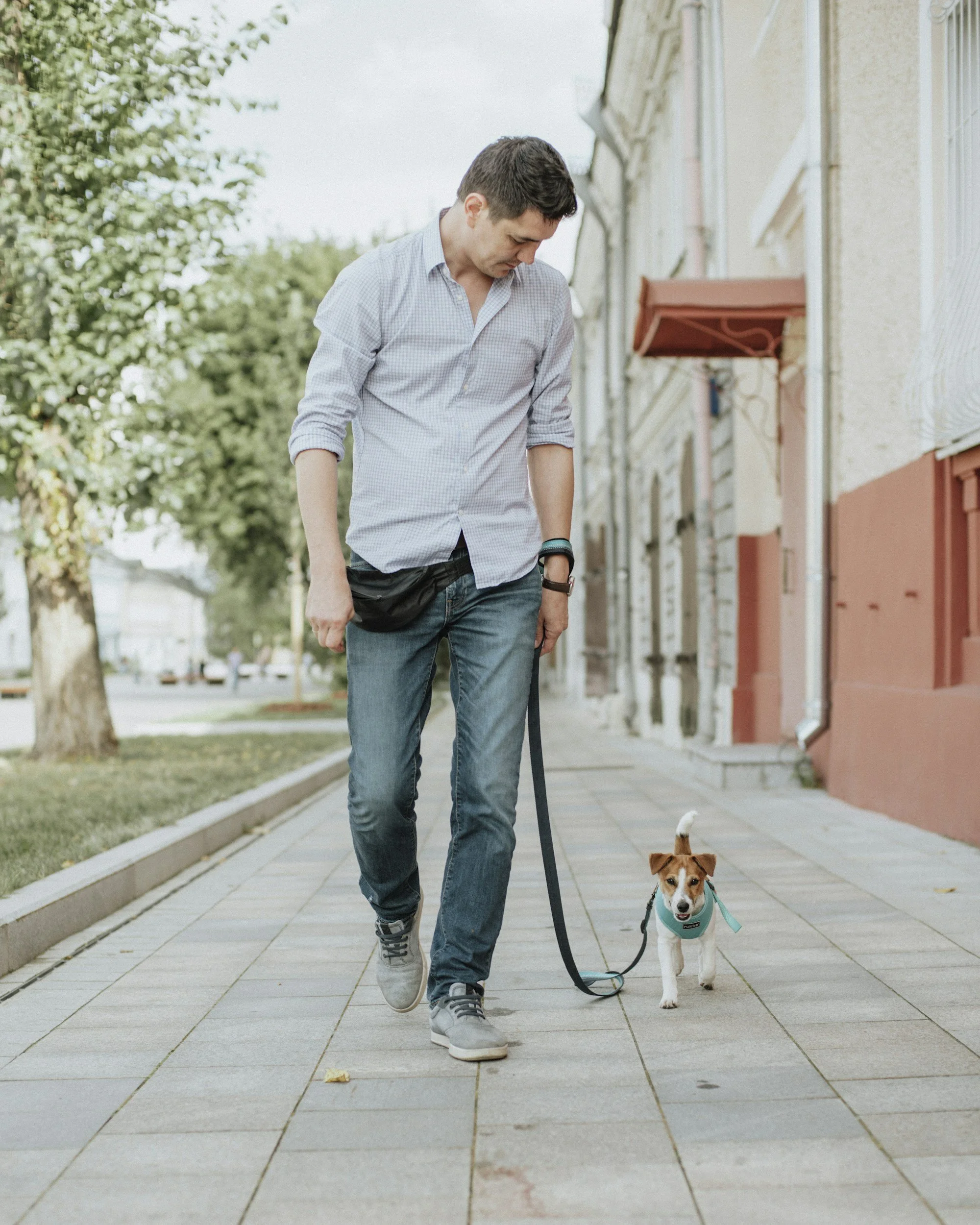 A man walking a small dog on a leash on a city sidewalk, with trees and buildings in the background.