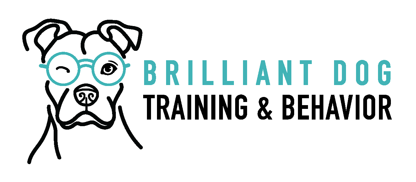 Logo of a dog with glasses and the text 'Brilliant Dog' next to it.