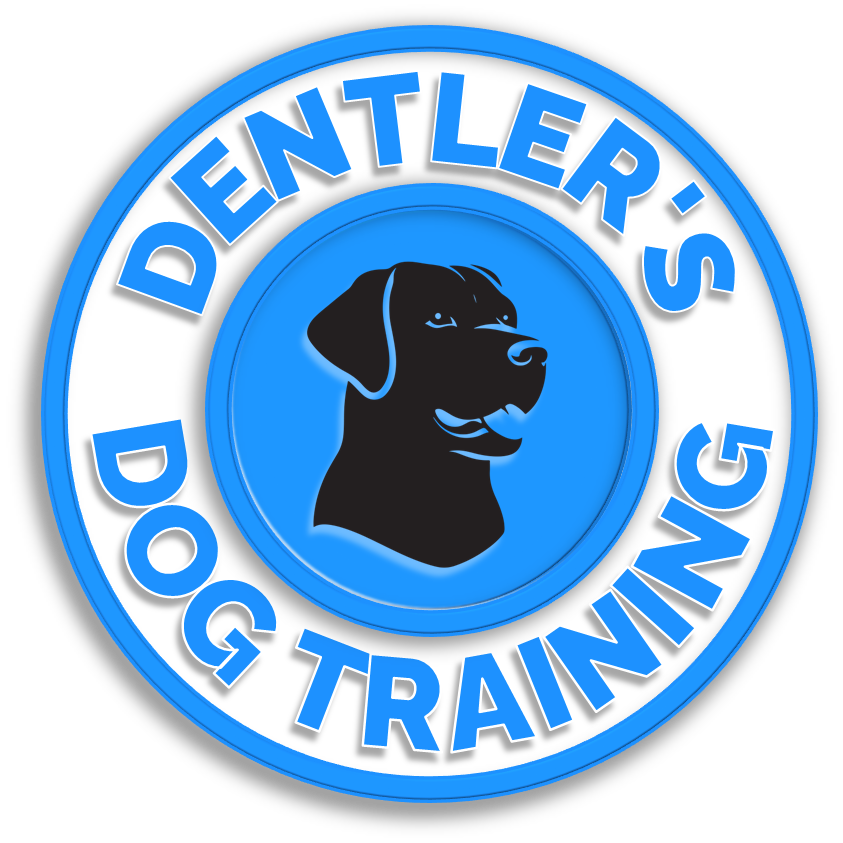 A circular logo with a black dog illustration in the center, surrounded by a white and blue border. The text reads "DENTLER'S DOG TRAINING" in blue capital letters, with "DENTLER'S" at the top and "DOG TRAINING" at the bottom.