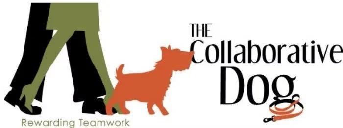 Logo for 'The Collaborative Dog' featuring a partial image of two people walking a small dog, with the tagline 'Rewarding Teamwork'.