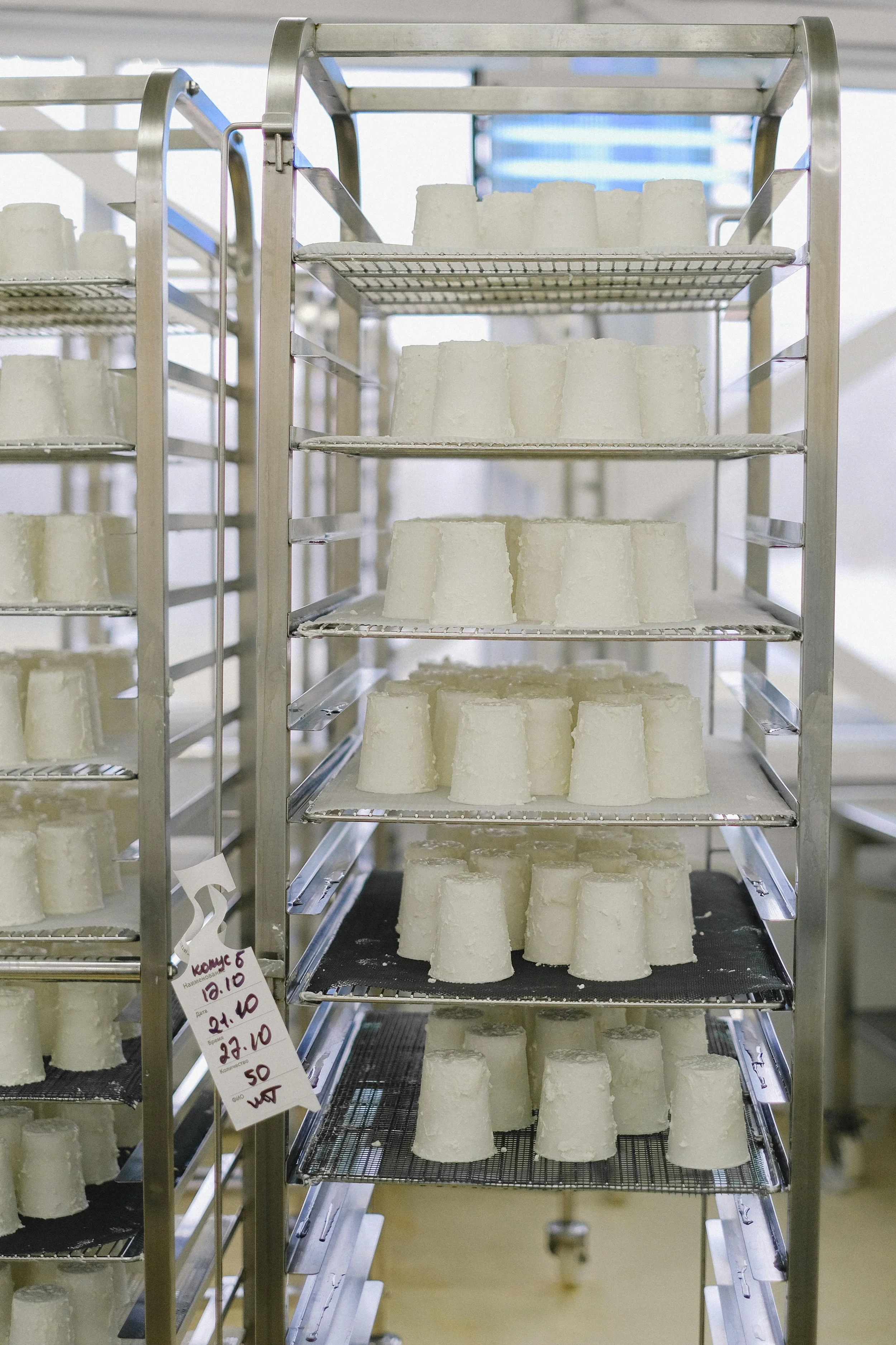 Multiple trays of white cheese molds on stainless steel racks in a food production facility.