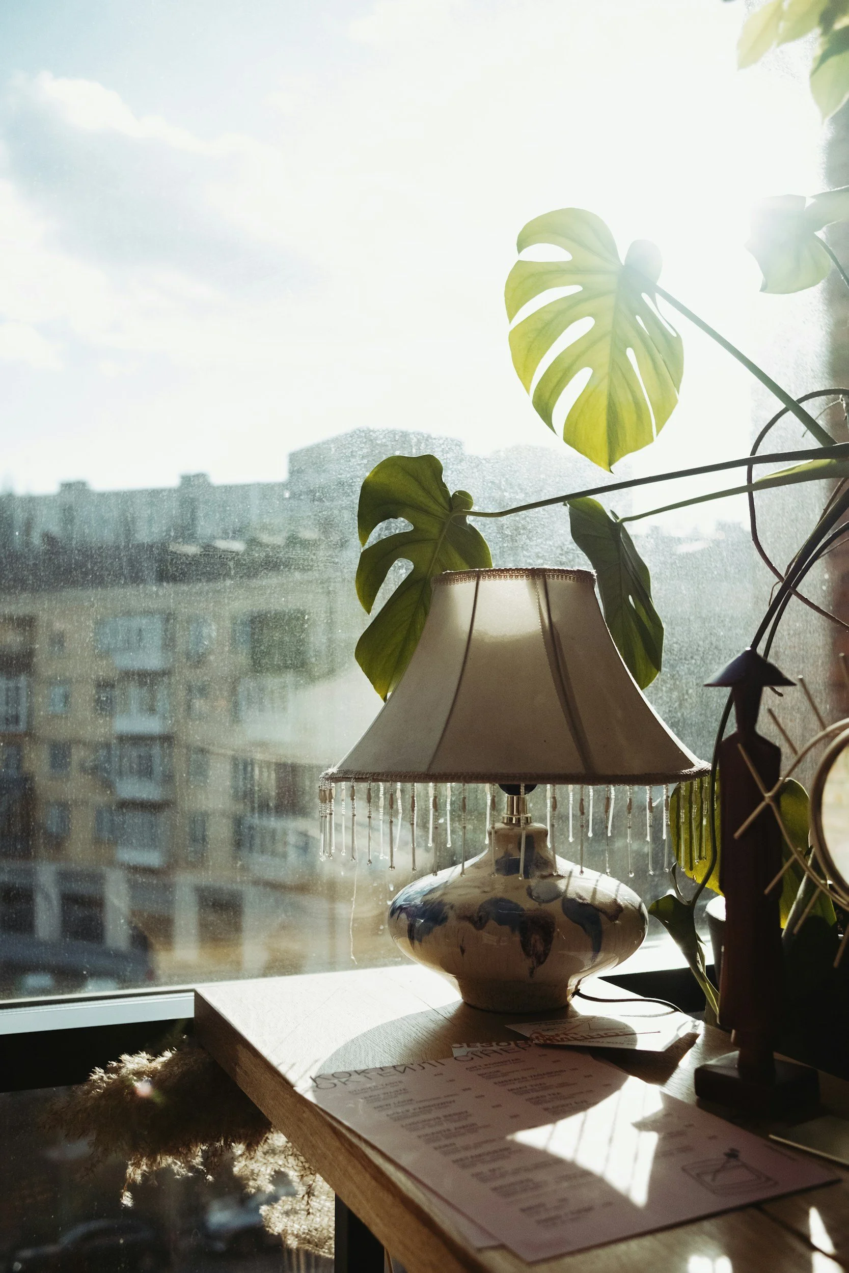 Sunlight streaming through a window illuminating a table with a decorative lamp and a potted plant with large green leaves.