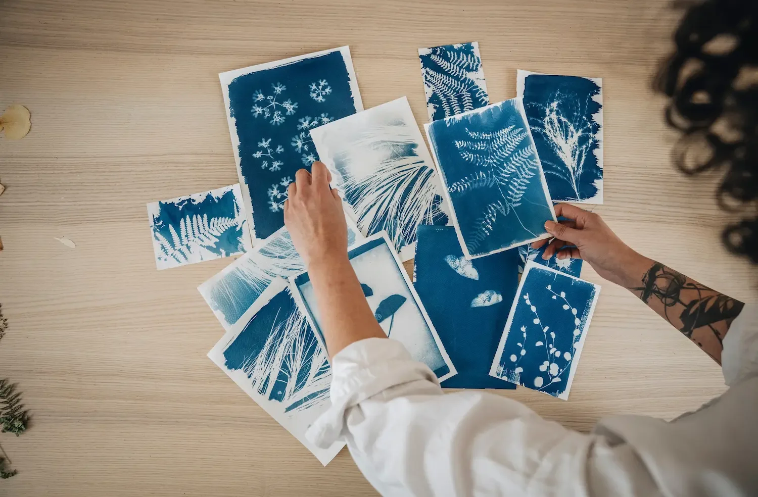 Atelier · Découverte du cyanotype