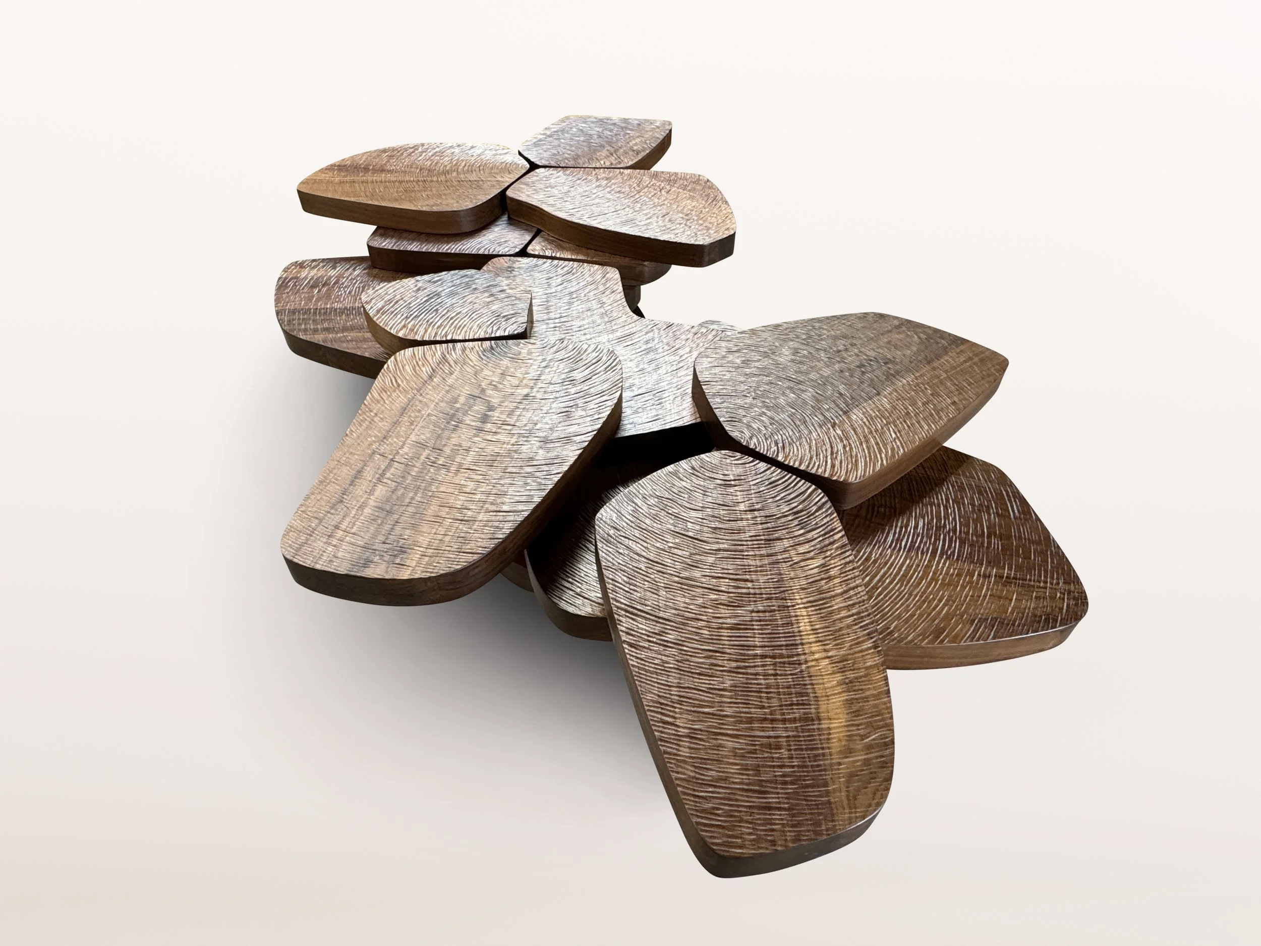 Photo Nov 15 2024, 1 34 17 PM.jpg