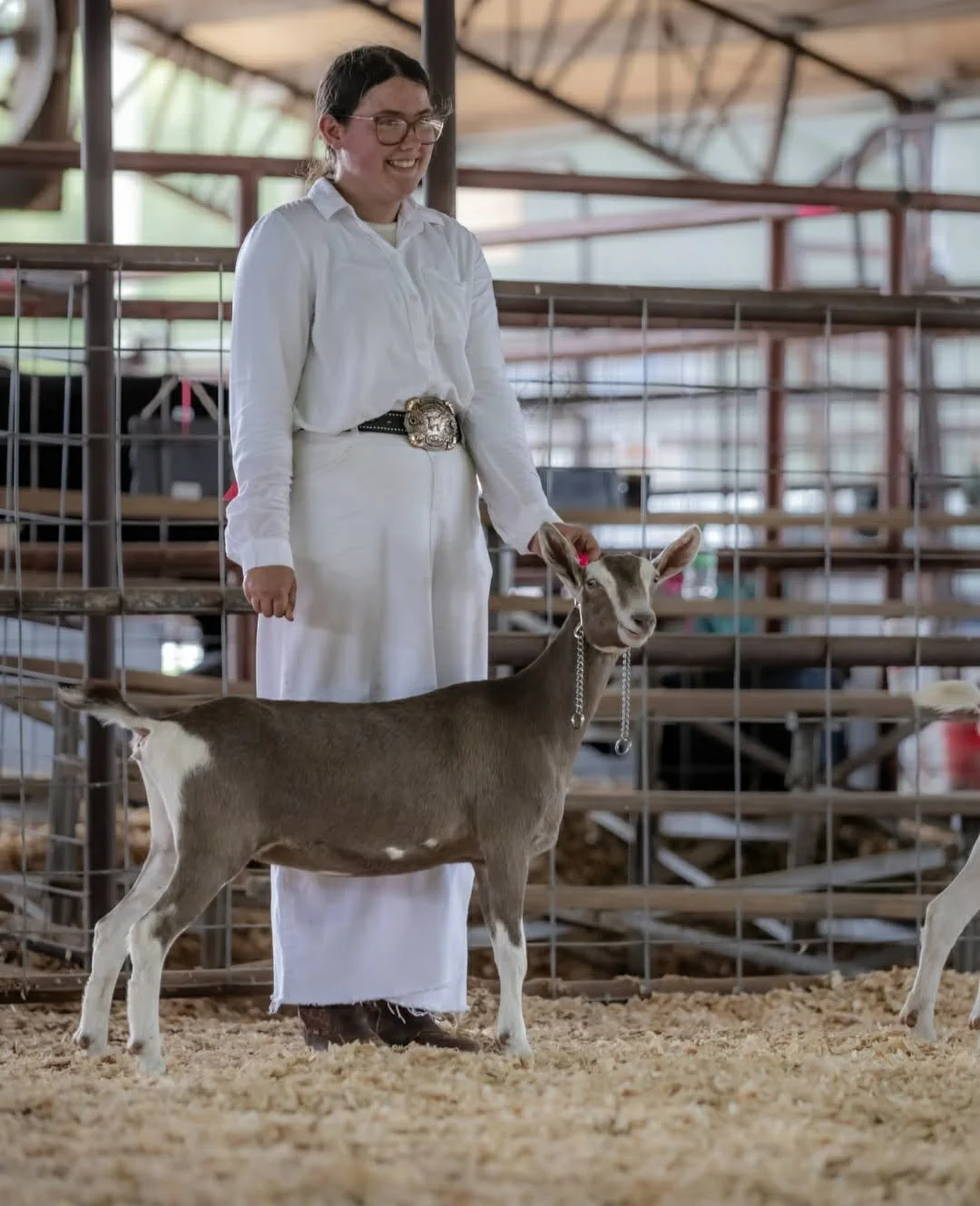 Megan Shrader at the Washington County Fair. 