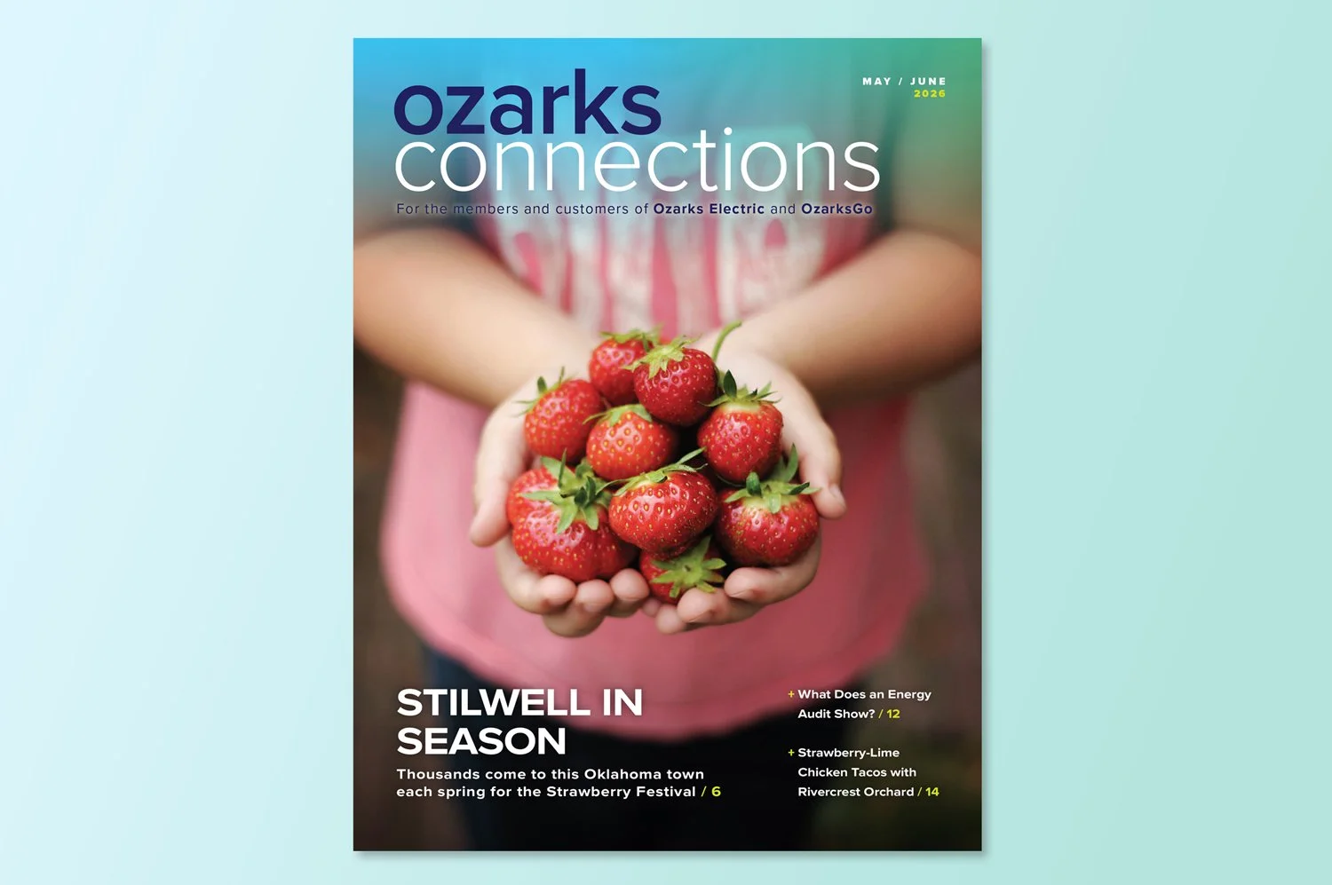 Cover of Ozarks Connections magazine, January/February 2026, with a scenic view of a green valley and hills, featuring power lines, and article titles about Ozark power history and local stories.