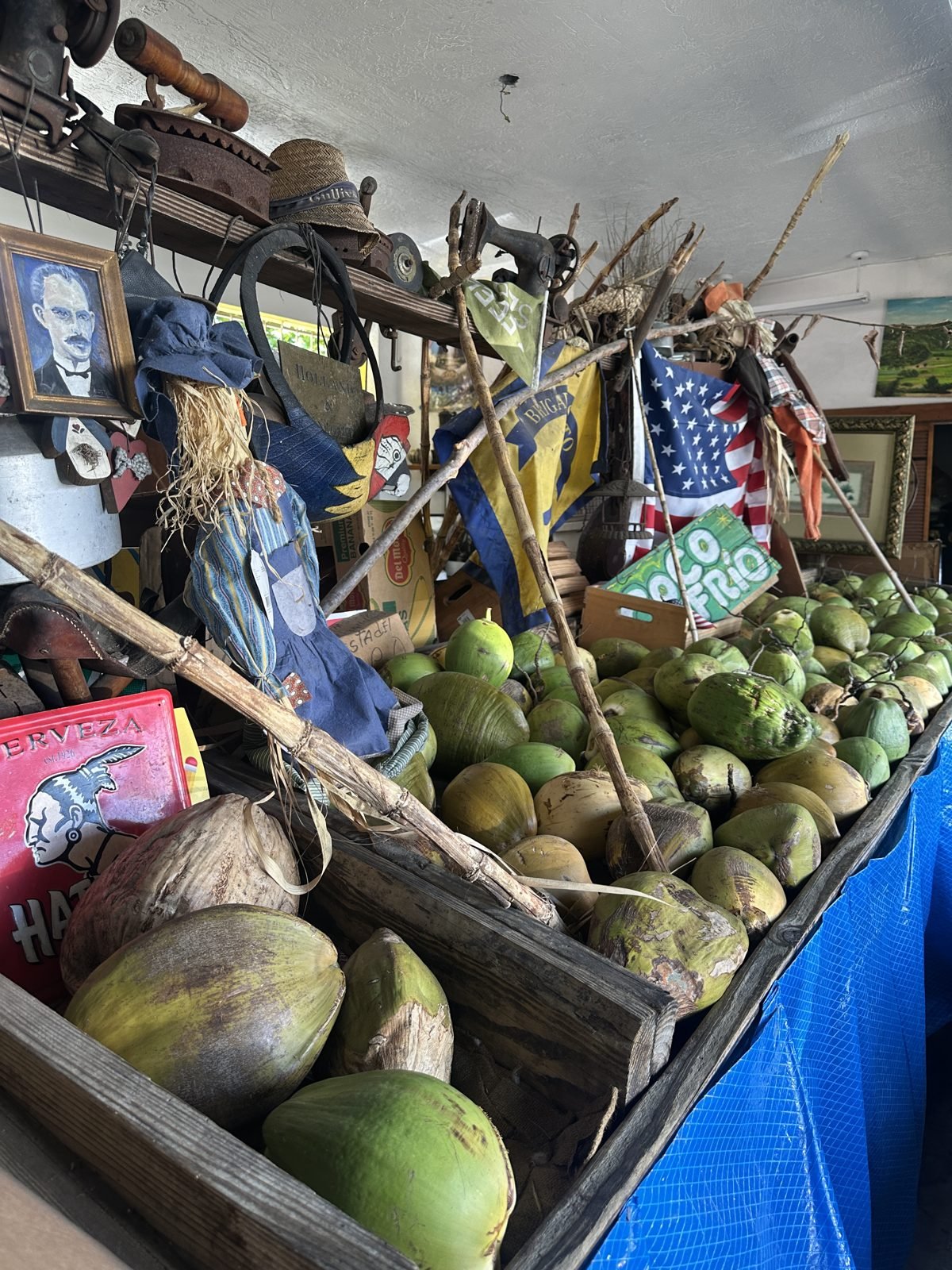 havana-market-01.jpg