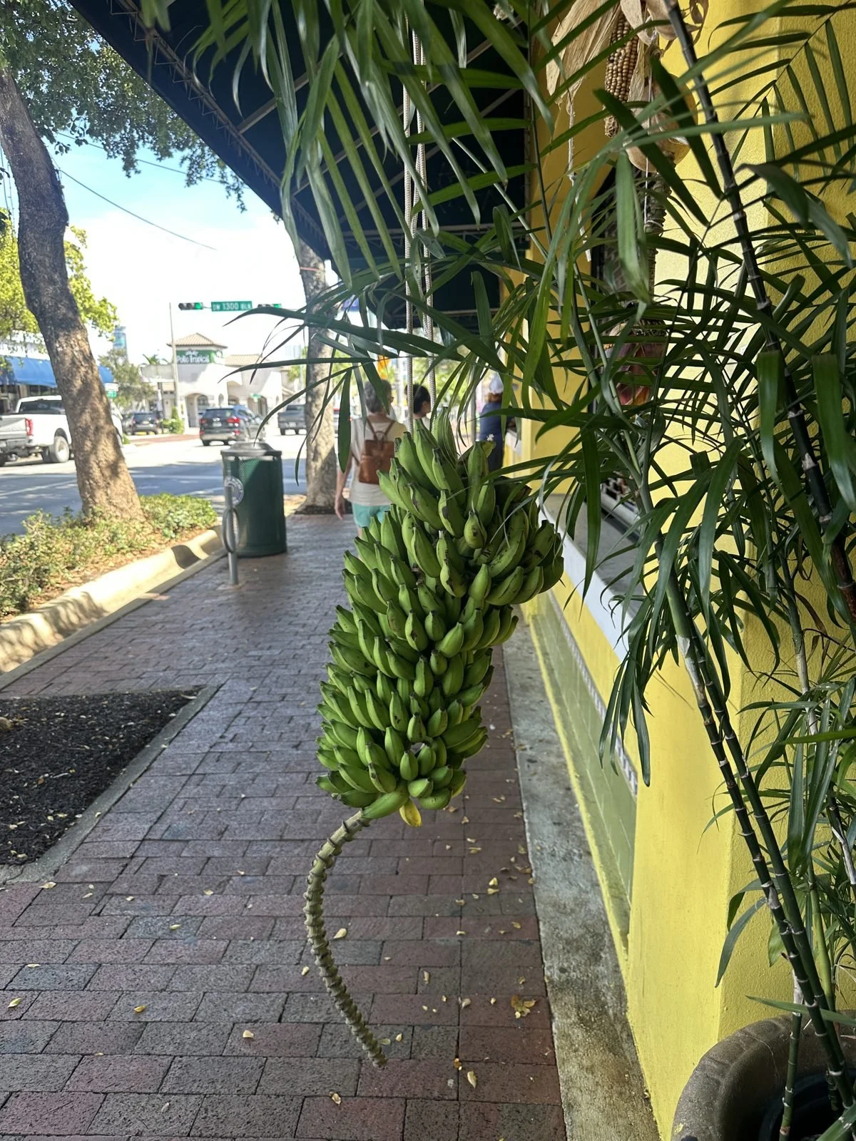 havana-market-06.jpg