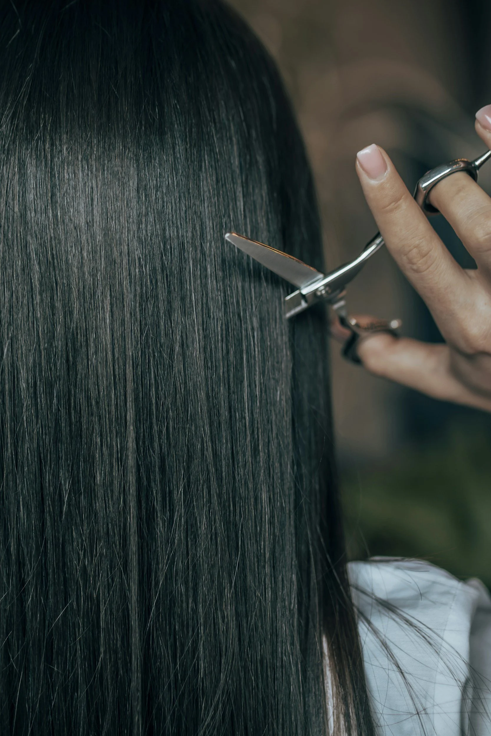 Close-up of a person getting a haircut, with long, straight, dark hair and a pair of scissors near the scalp.
