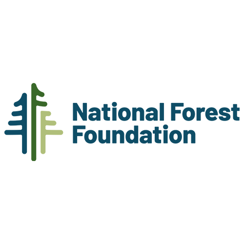 Logo of the National Forest Foundation featuring a stylized tree and text.