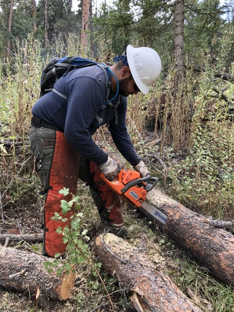 A man wearing safety gear, including a white helmet and gloves, is cutting a fallen tree with a chainsaw in a forested area.