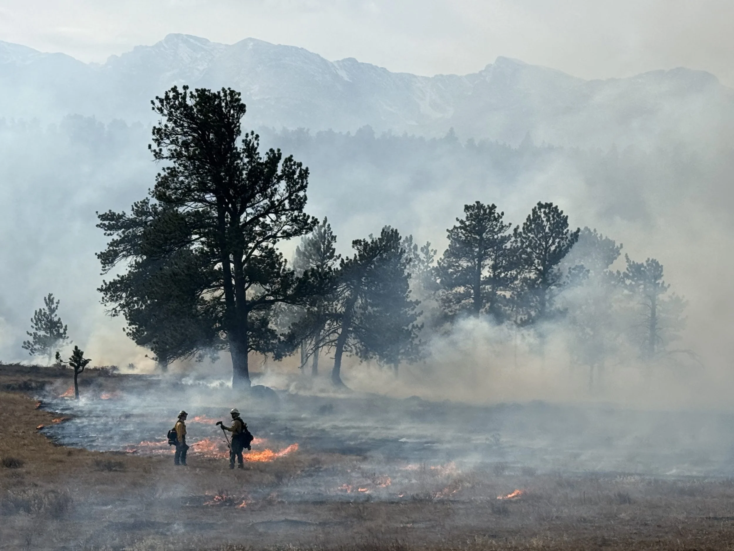 November 2025 Prescribed Fire Recap: Building Resilience Across the Northern Colorado Fireshed