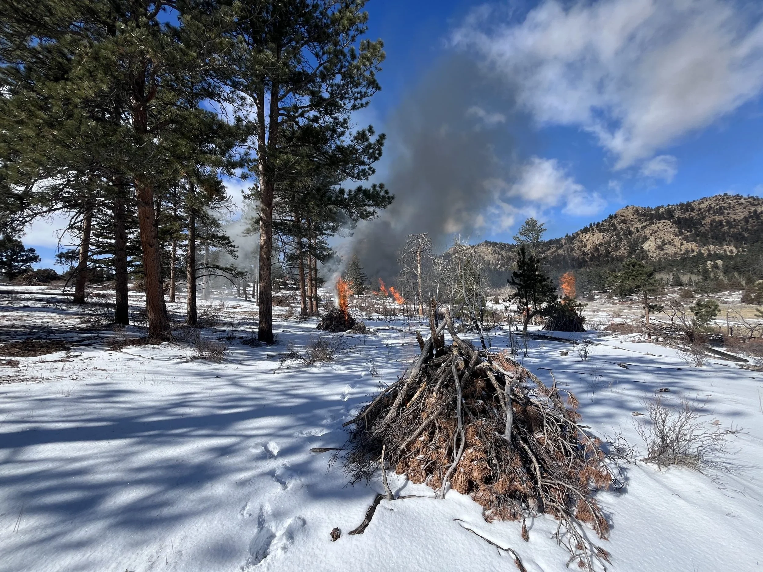 The Crucial Role of Pile Burning in Northern Colorado