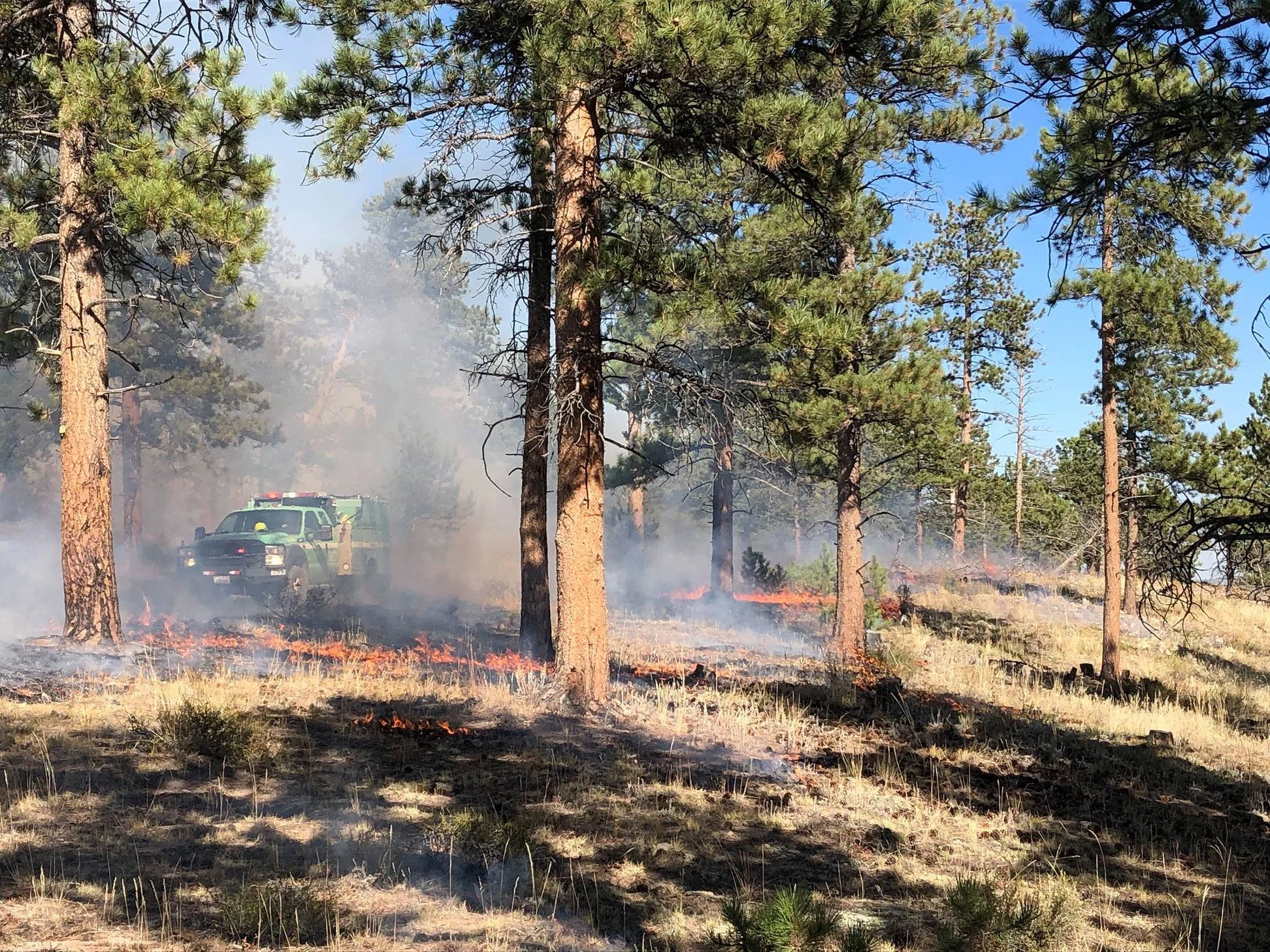 New Study Shows Areas with Prior Forest Treatments Burned Less Severely than Untreated Areas in Colorado’s 2020 Wildfires
