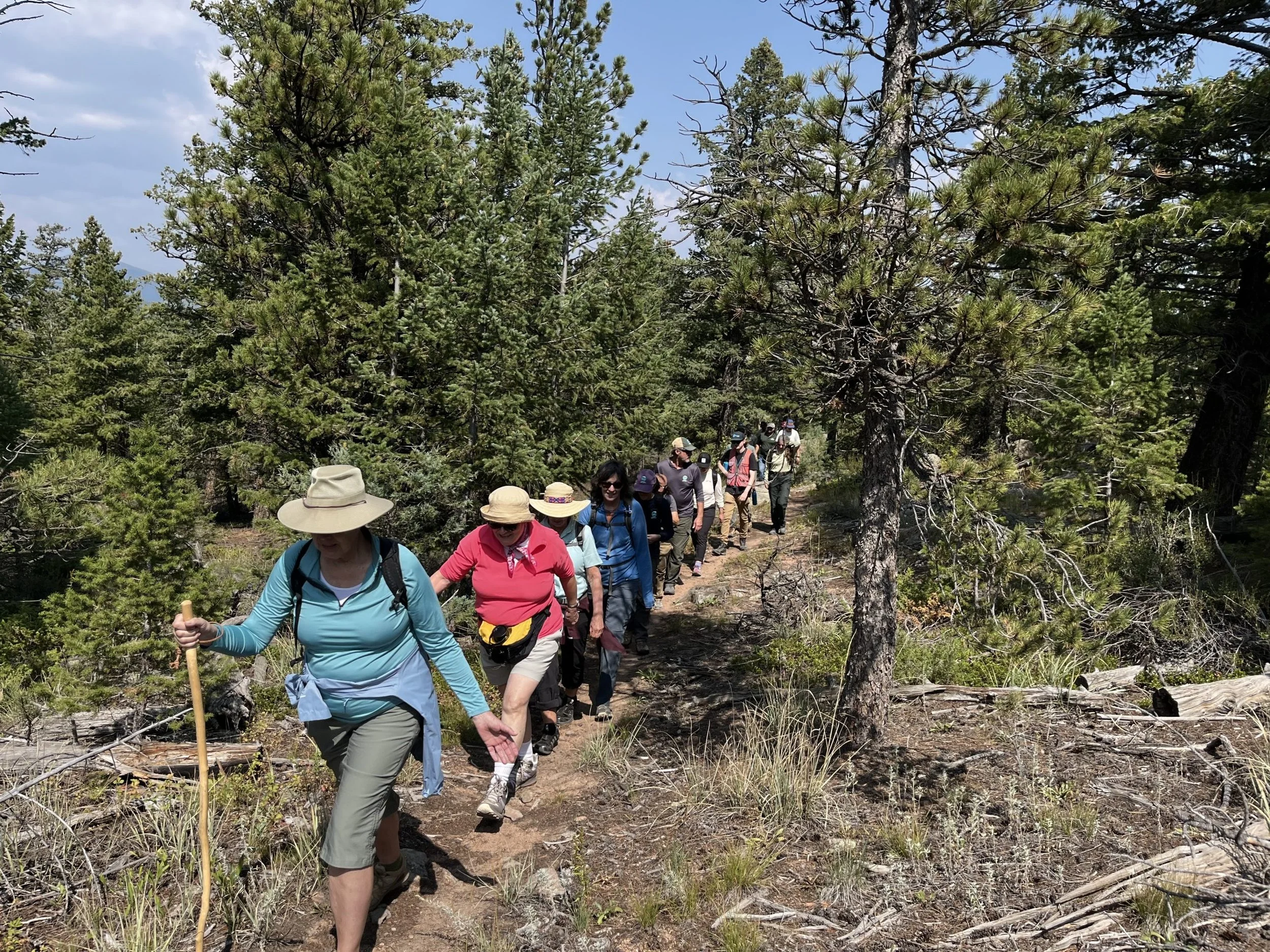 St. Vrain Forest Health Partnership Hosts Forestry and Fire Resilience Community Field Tour