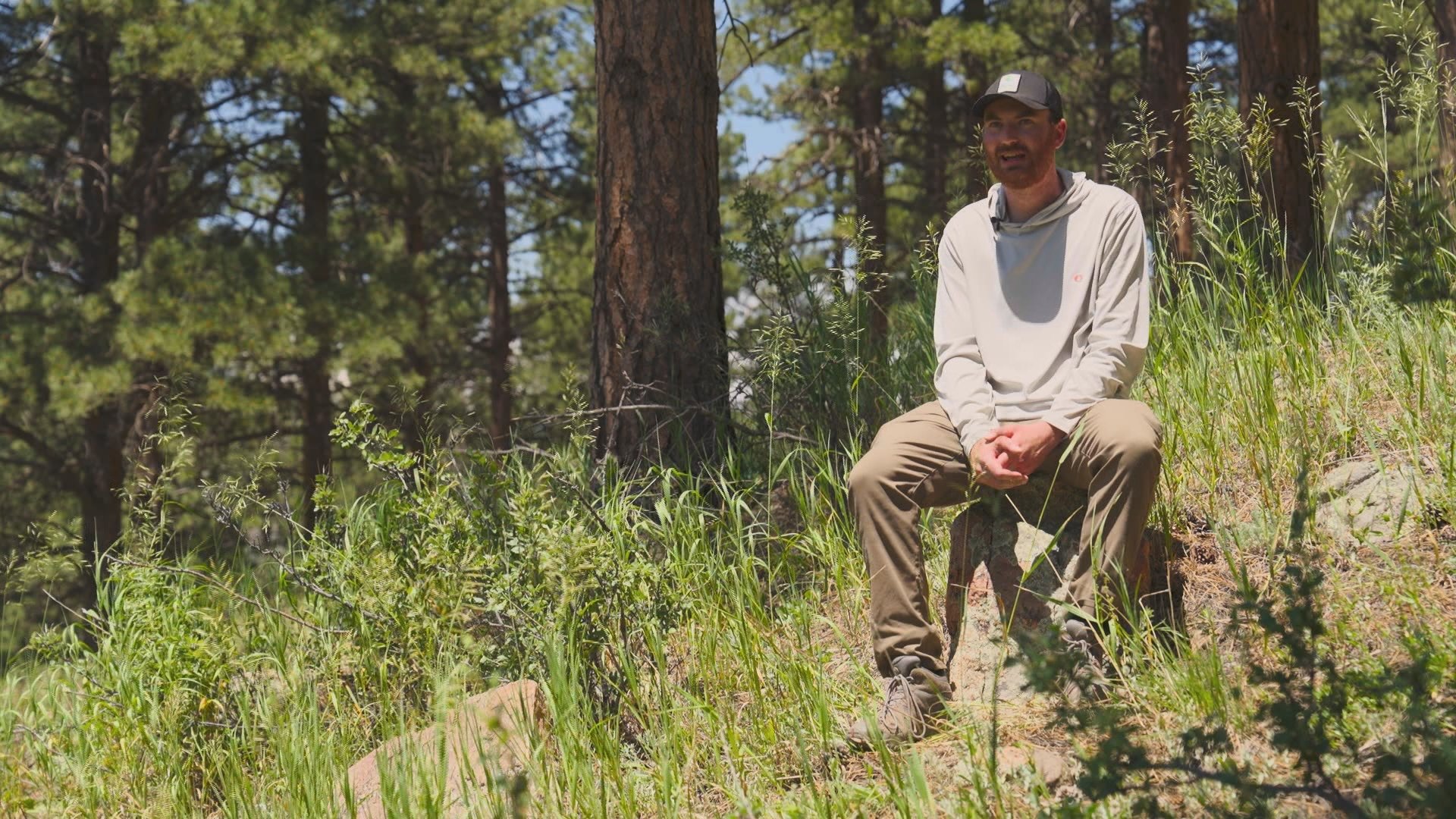 9 News | Clear Creek County’s first dedicated forester helping neighbors reduce wildfire risk