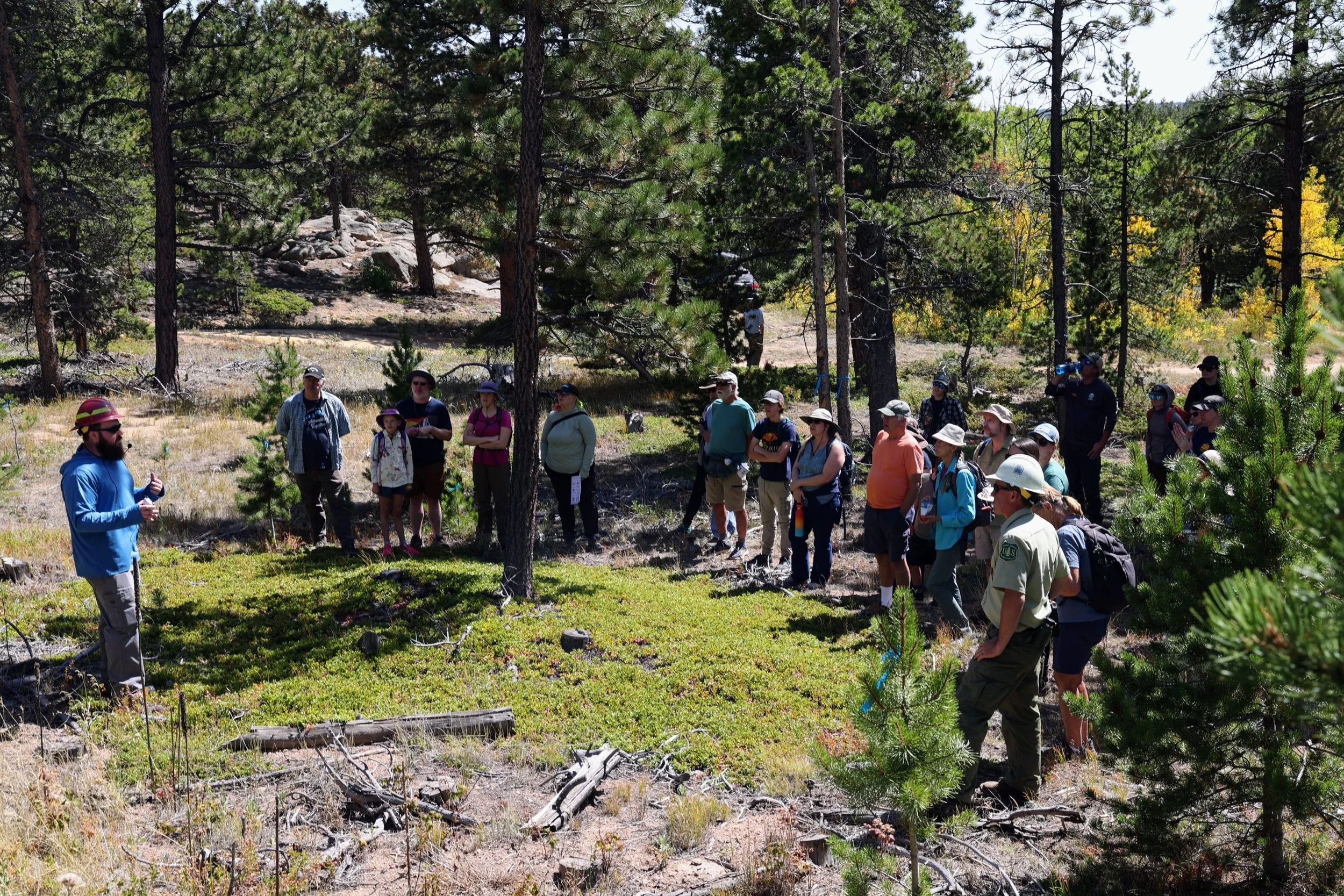 USDA Forest Service approves St. Vrain Forest Health Project