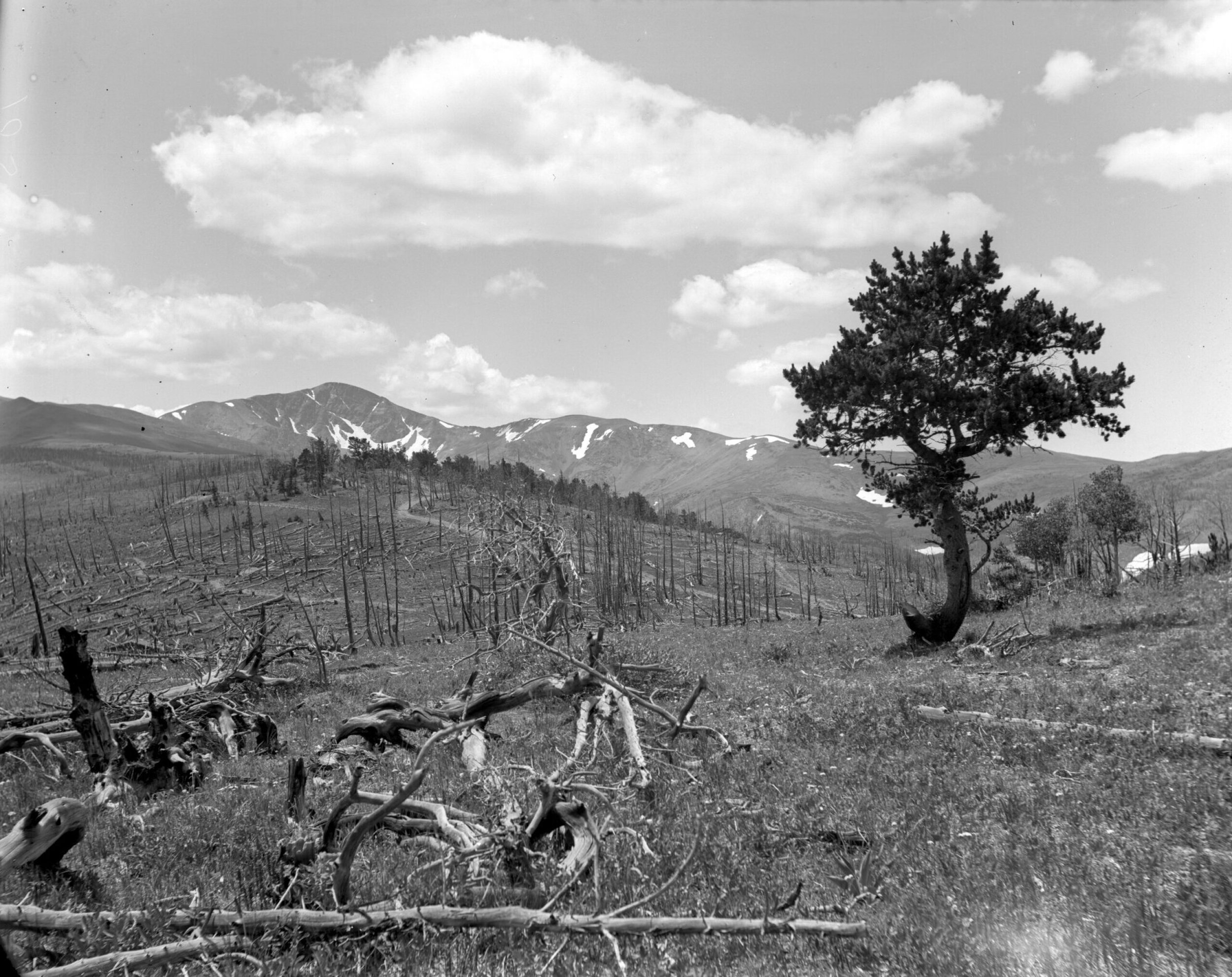 Colorado's firefighting strategies have evolved significantly over the decades — here's a look at the history