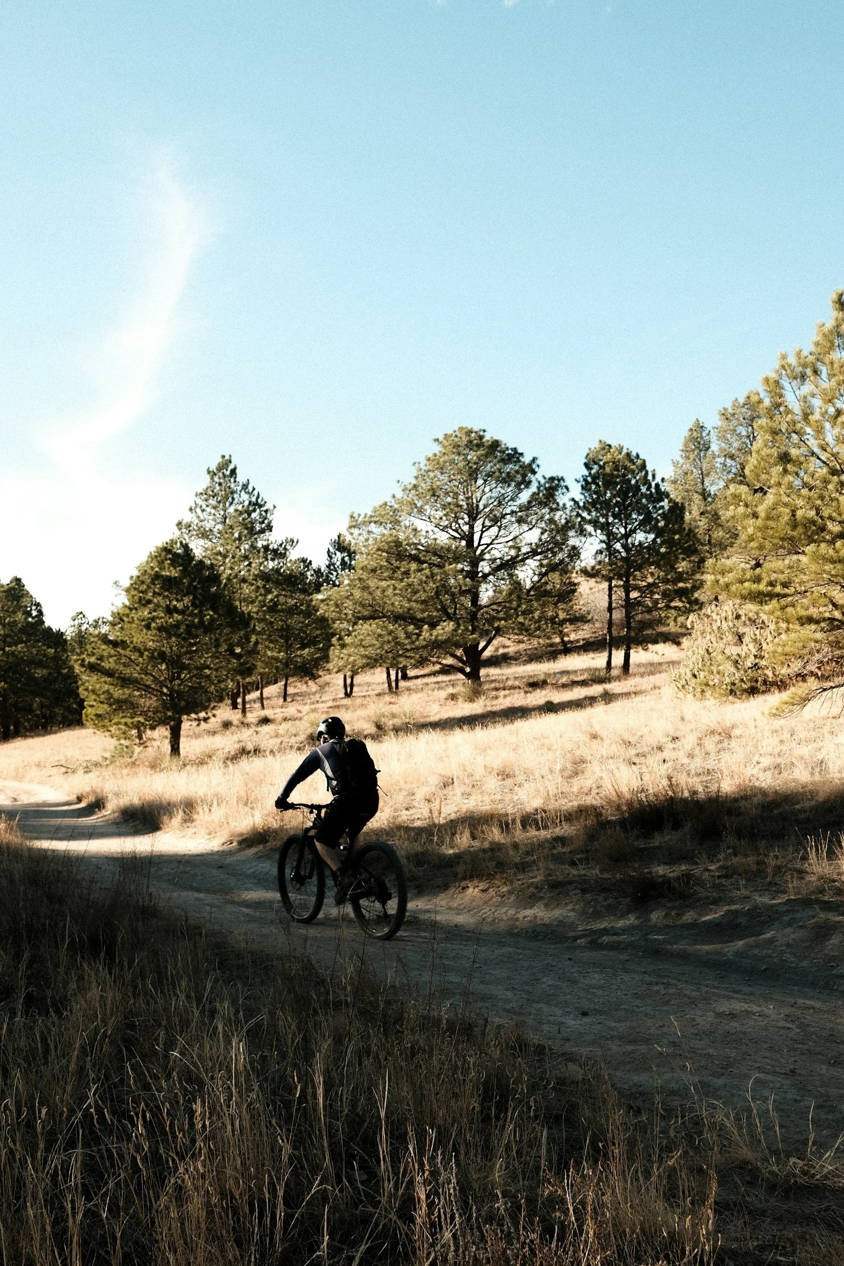 The Western US Supports Active Forest Stewardship. It’s Time to Make That Support Visible