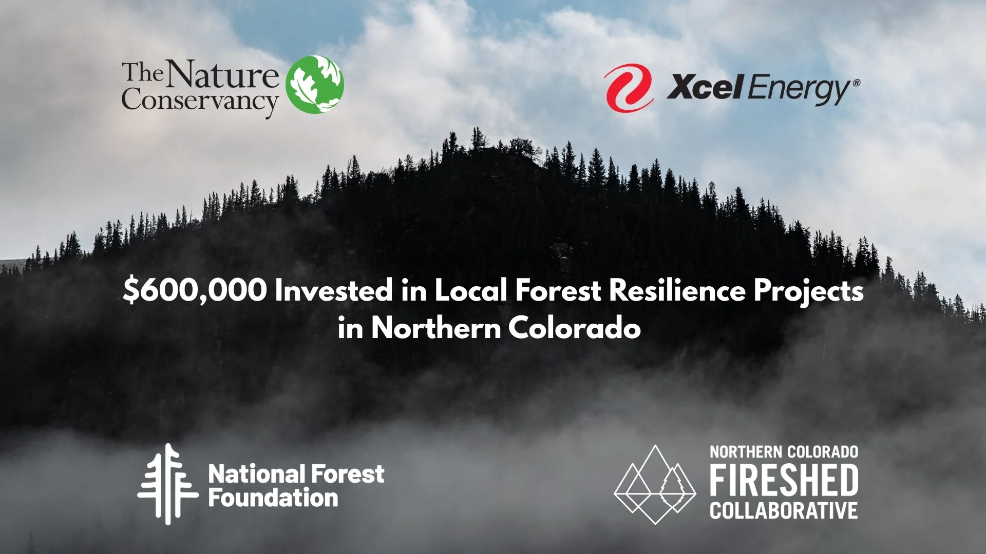 NoCo Fireshed Invests Over $600,000 in Local Forest Resilience Projects&nbsp;