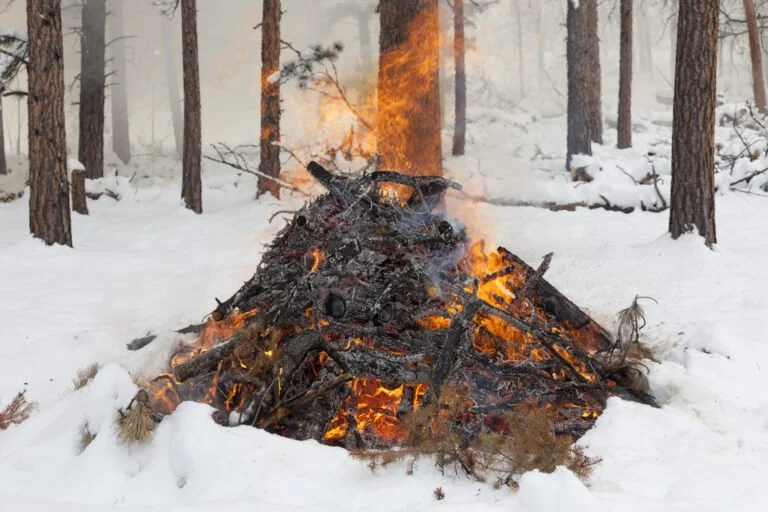 A large campfire built with logs and branches burning in a snowy forest with tall trees.