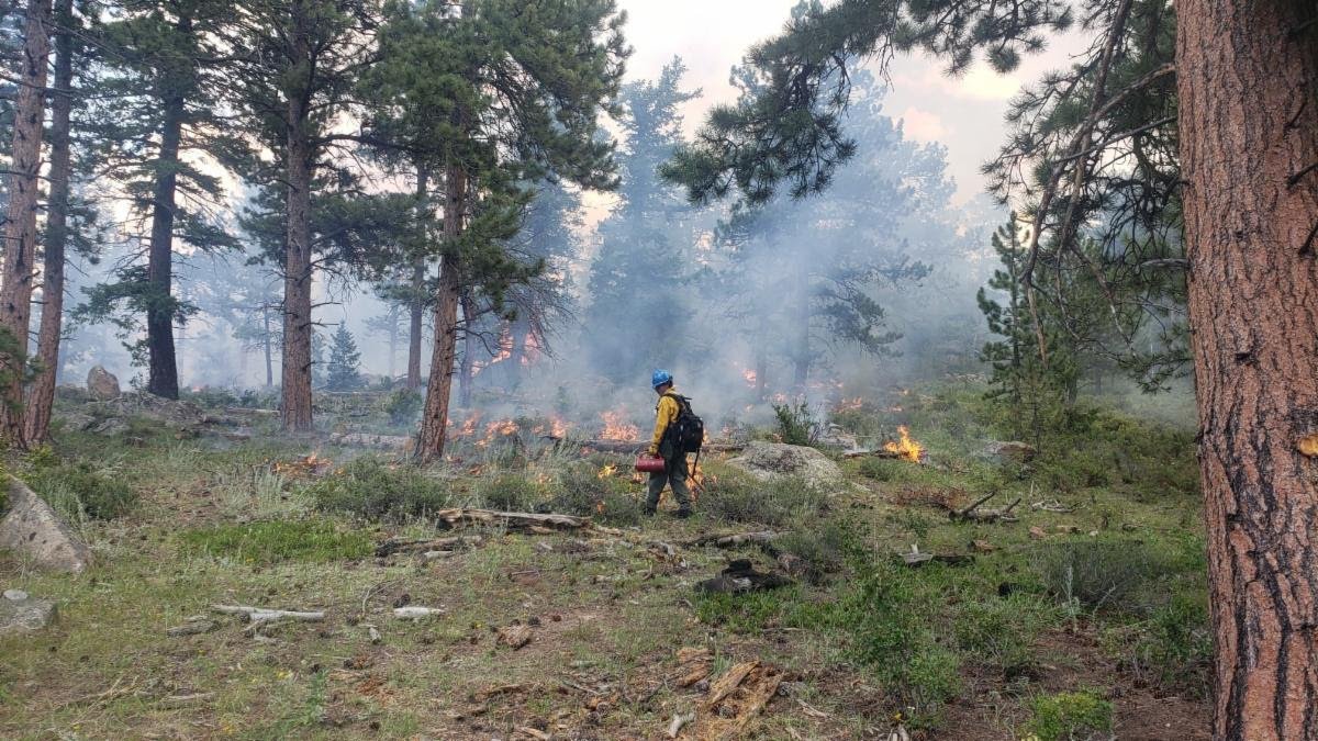 A person wearing a yellow jacket, blue helmet, and carrying a backpack and fire-spraying equipment walking through a forest on fire with smoke and flames visible in the background.