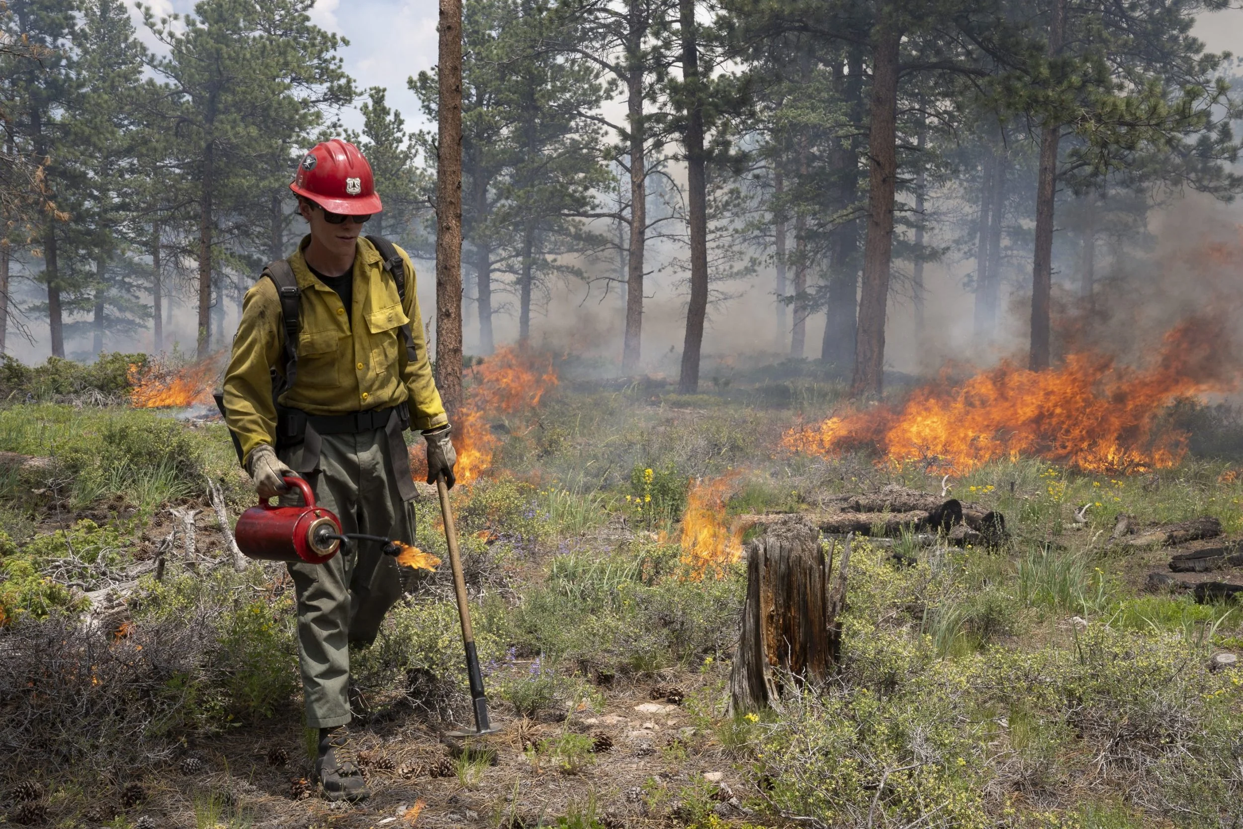 Weather &amp; the Prescribed Burn Plan