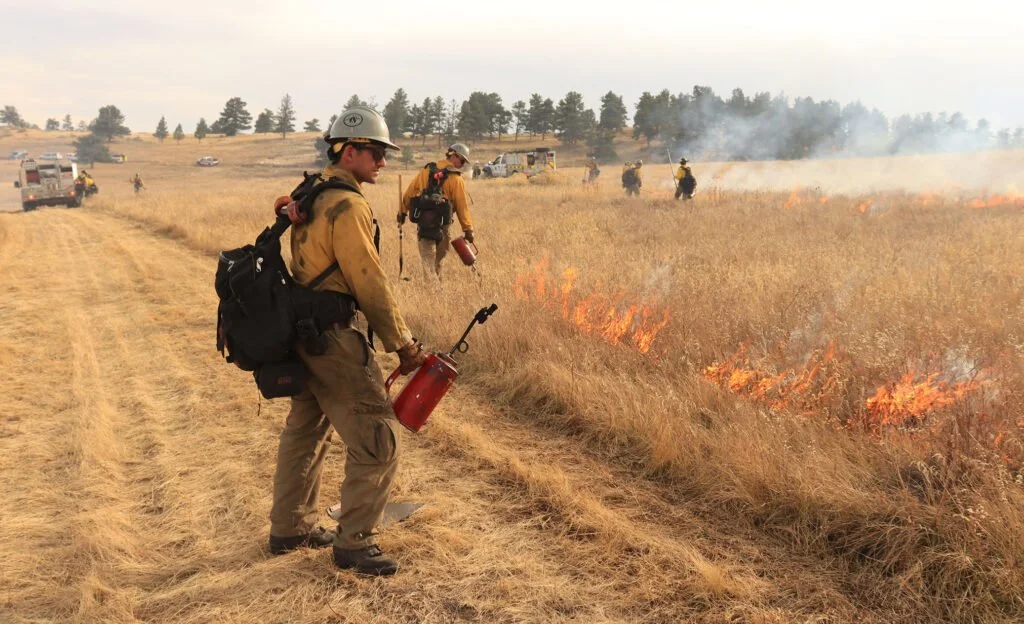 Firefighters in yellow gear and helmets extinguishing a grass fire in a dry field near parked emergency vehicles and trucks.