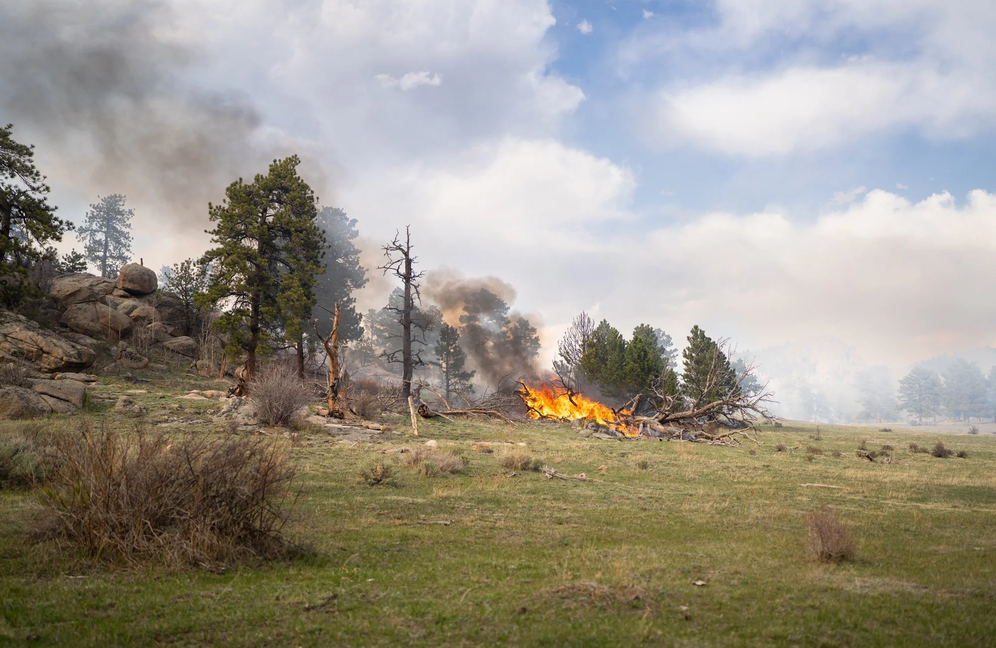 A wildfire burning through a forested area with trees and smoke in the sky.