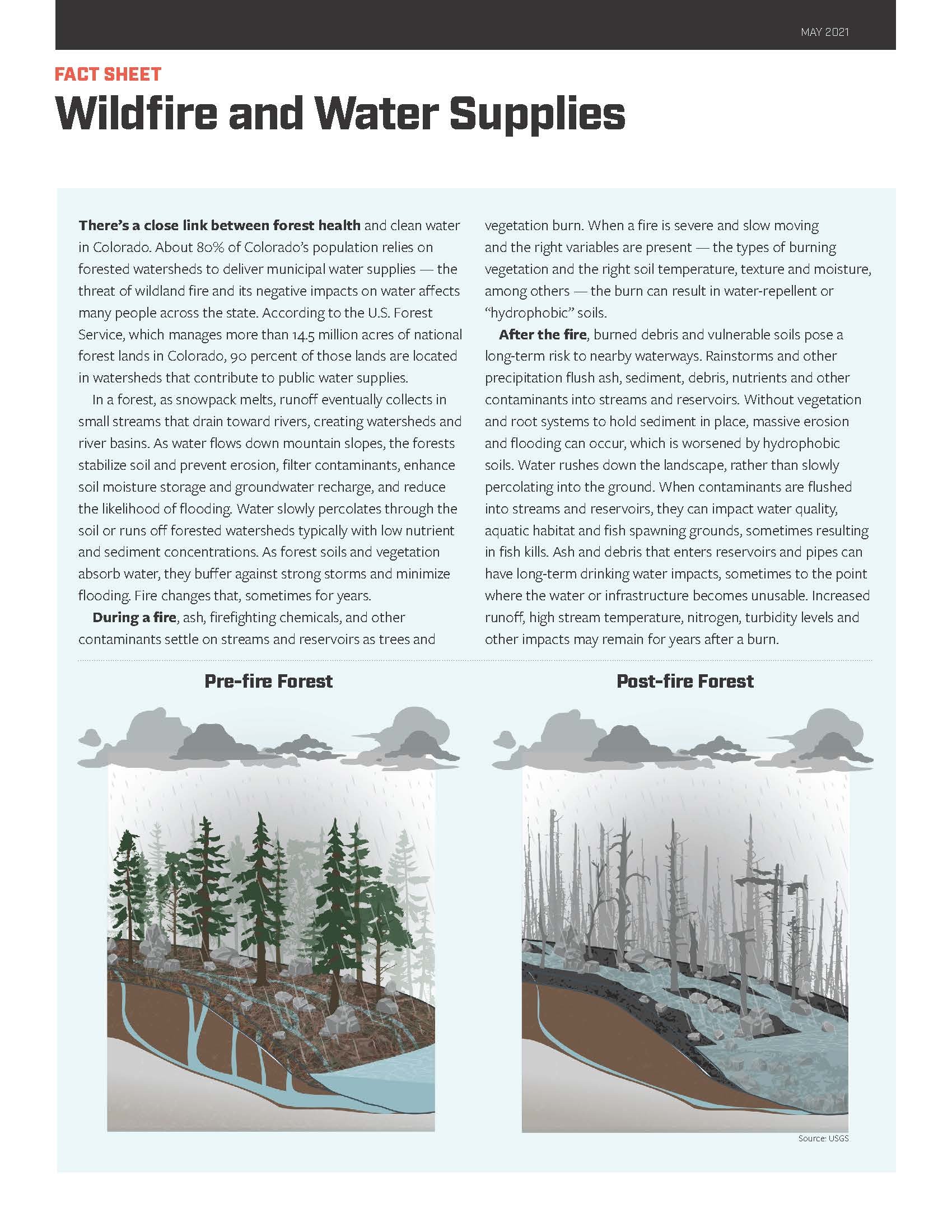 Comparison of pre-fire and post-fire forest health, showing dense healthy trees on the left and damaged, burned trees on the right.