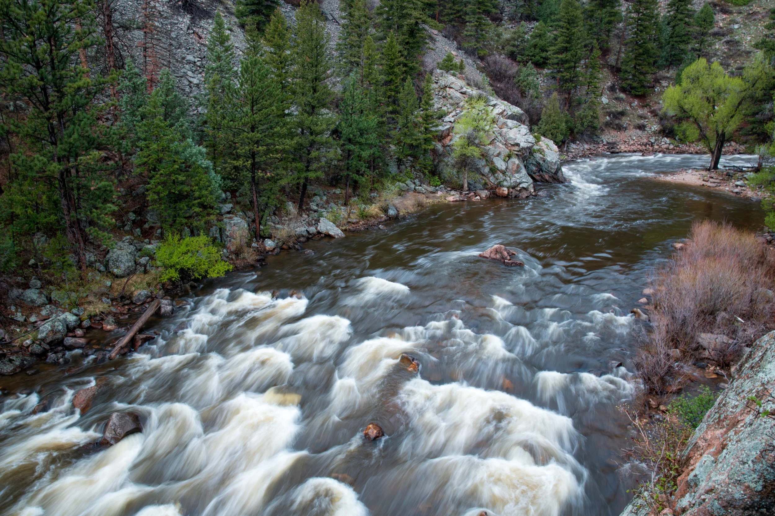 A flowing river with white water, surrounded by trees and rocky cliffs in a forested mountainous area.