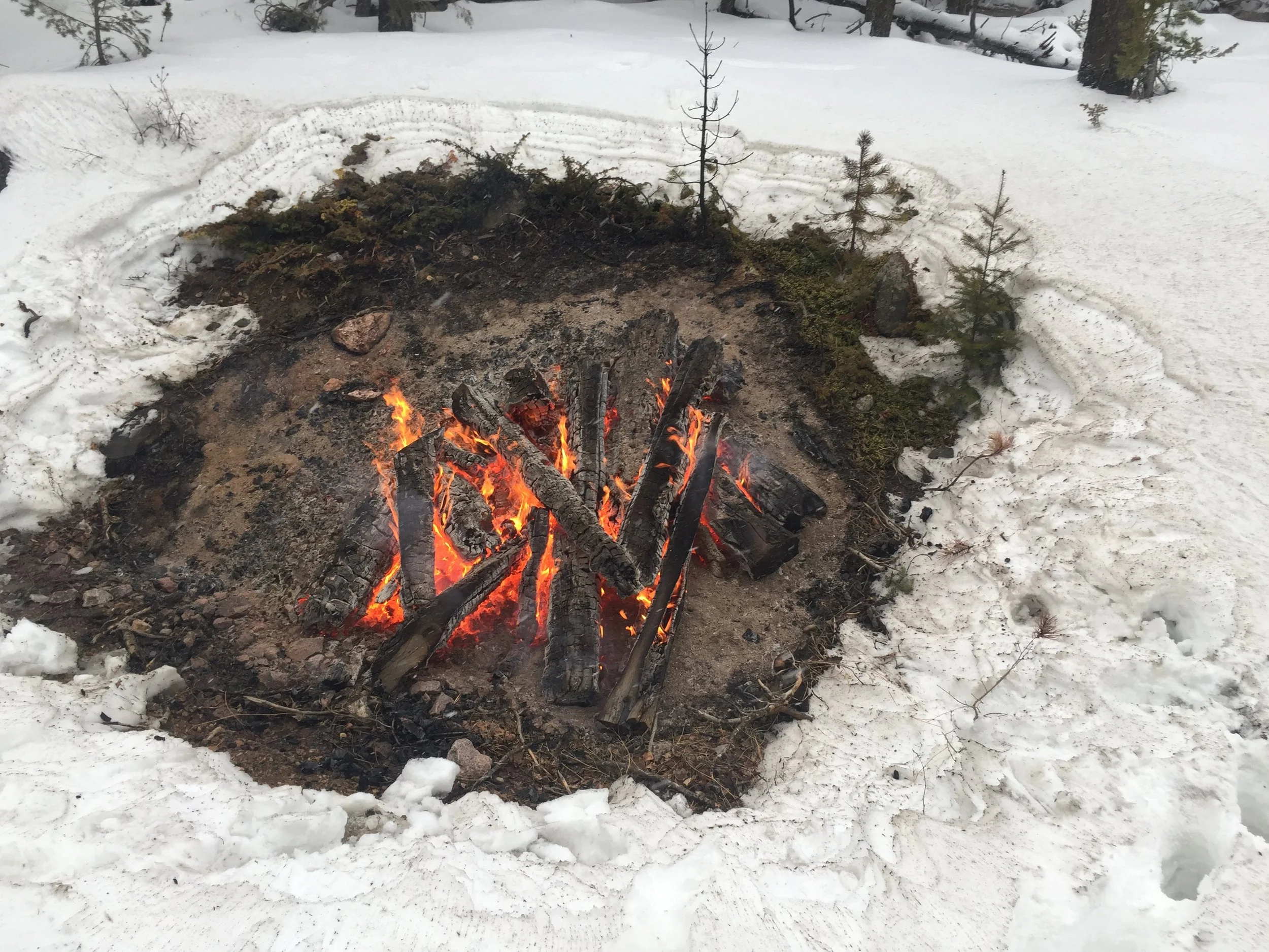 A small campfire burning on snow-covered ground in a wooded area with trees and snow in the background.