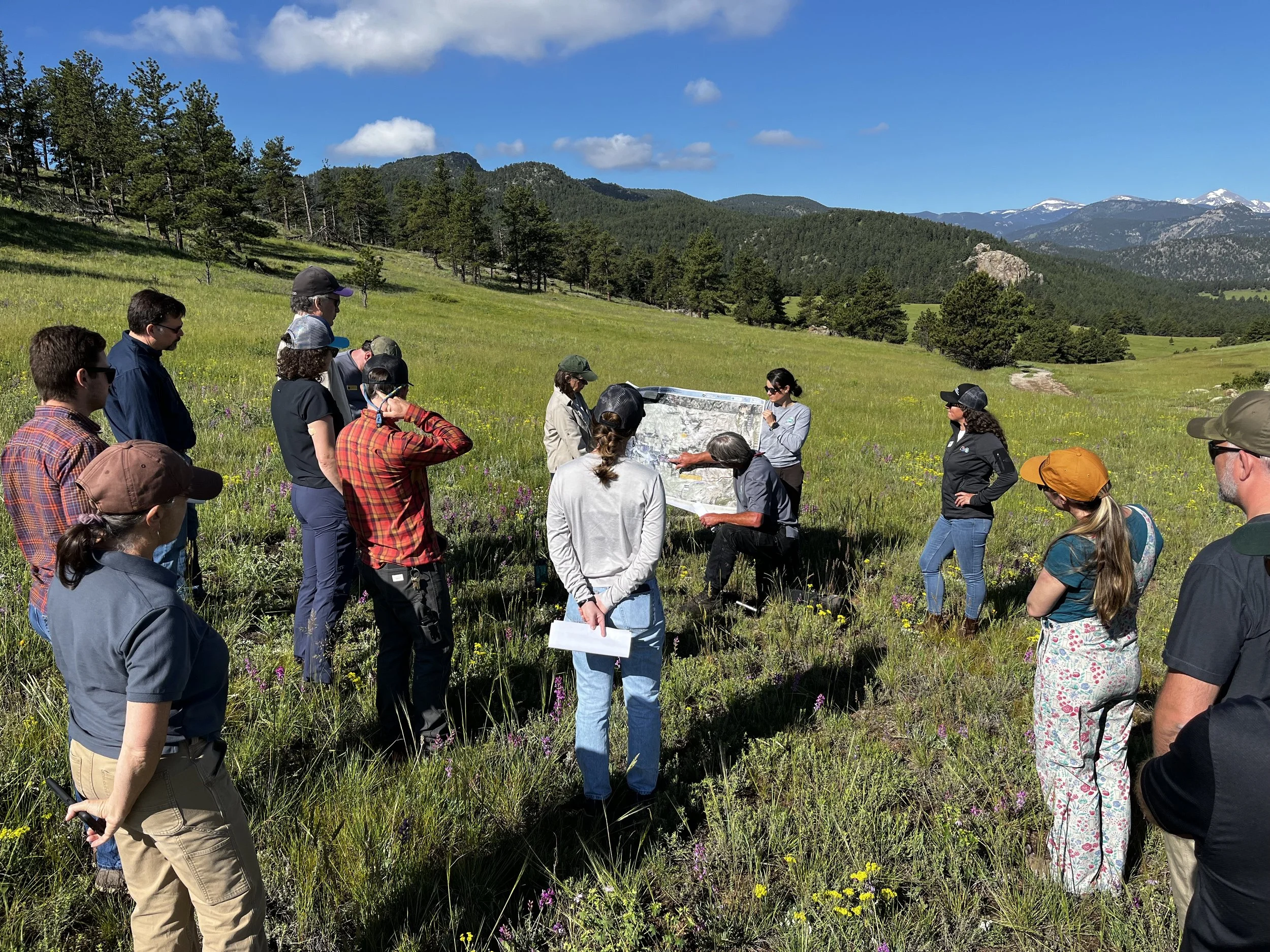 Group of people on a guided nature tour in a grassy field, with mountains, trees, and blue sky in the background.