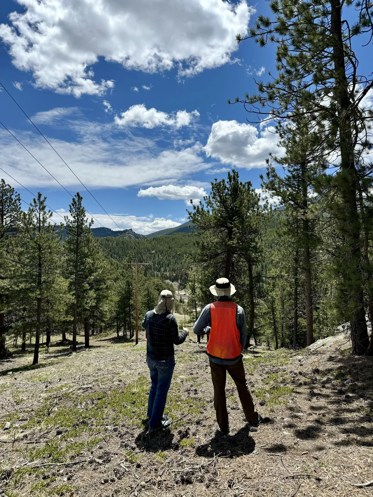 Two people, one wearing a safety vest and hats, standing in a forested area, looking toward the distance with mountains, trees, and a partly cloudy sky in the background.
