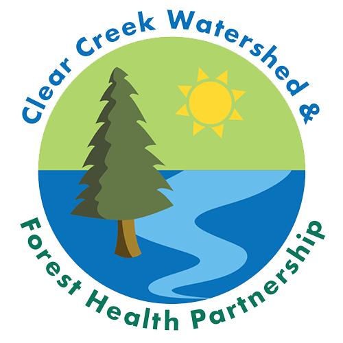 Logo for Cleel Creek Watershed for Health Partnership featuring a green landscape with a pine tree, a river, a yellow sun, and surrounding text.