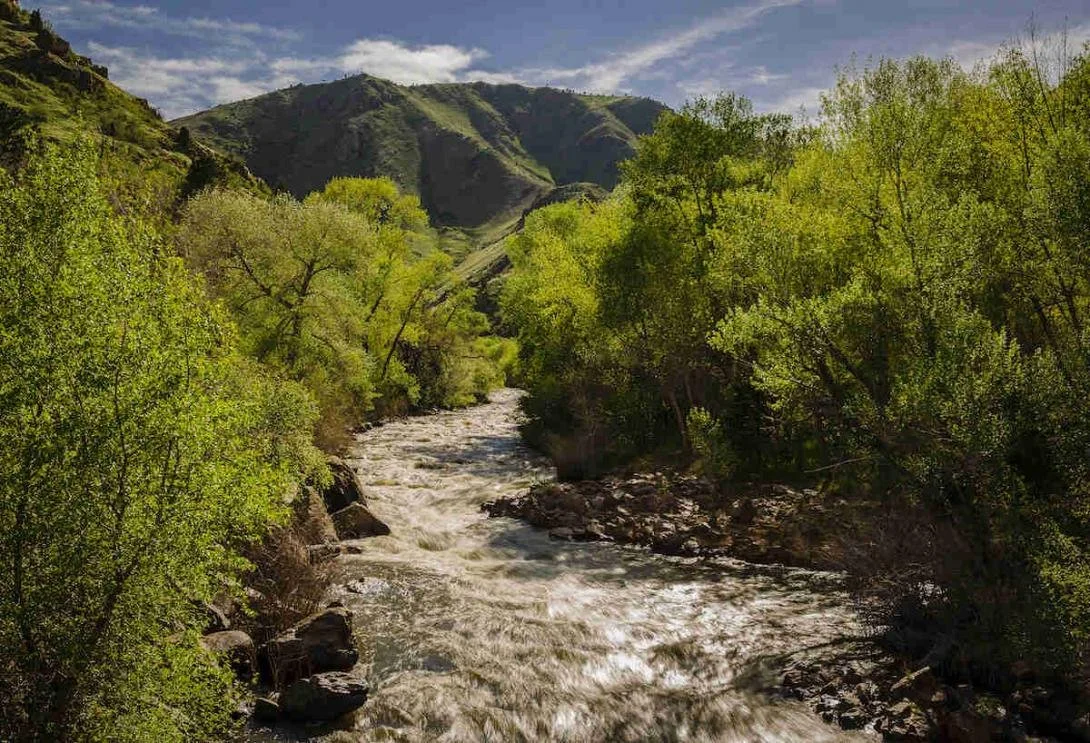 A rushing river flowing through a lush, green canyon with mountains in the background under a partly cloudy sky.