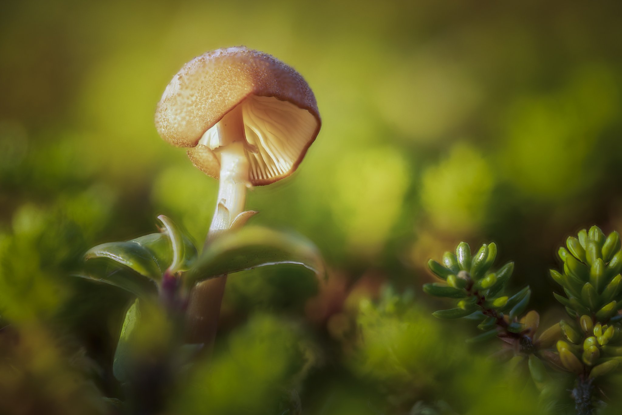 2022-08-15-13.20.04 ZS PMax-Edit.jpg