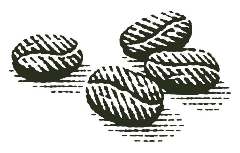 Black and white illustration of five coffee beans on a flat surface.